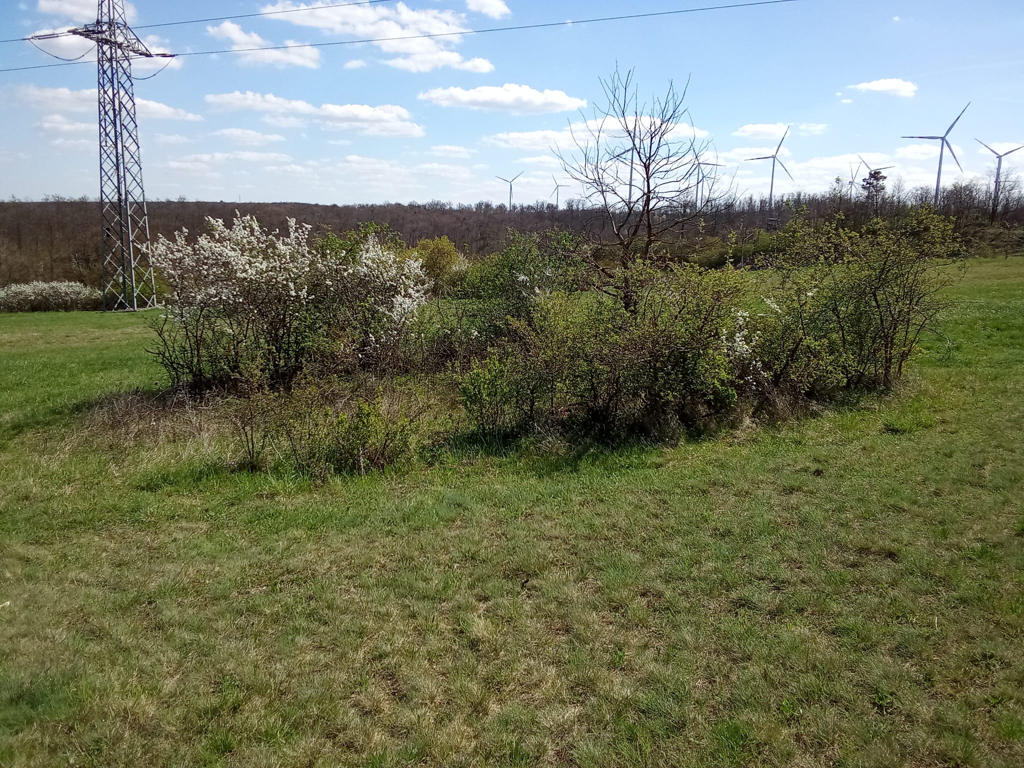 IMG-20260409-WA0051.jpg