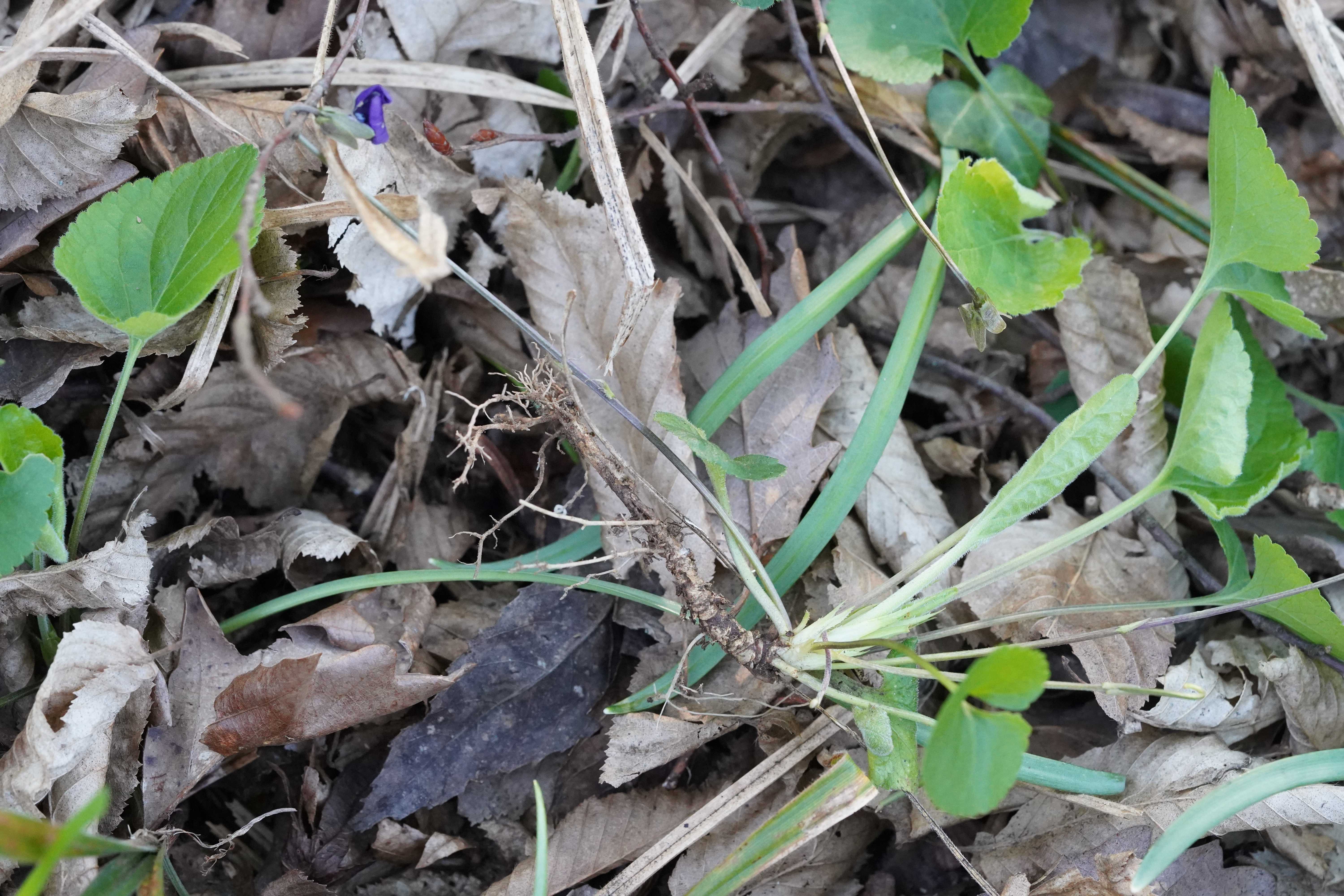 DSC03596-min.JPG