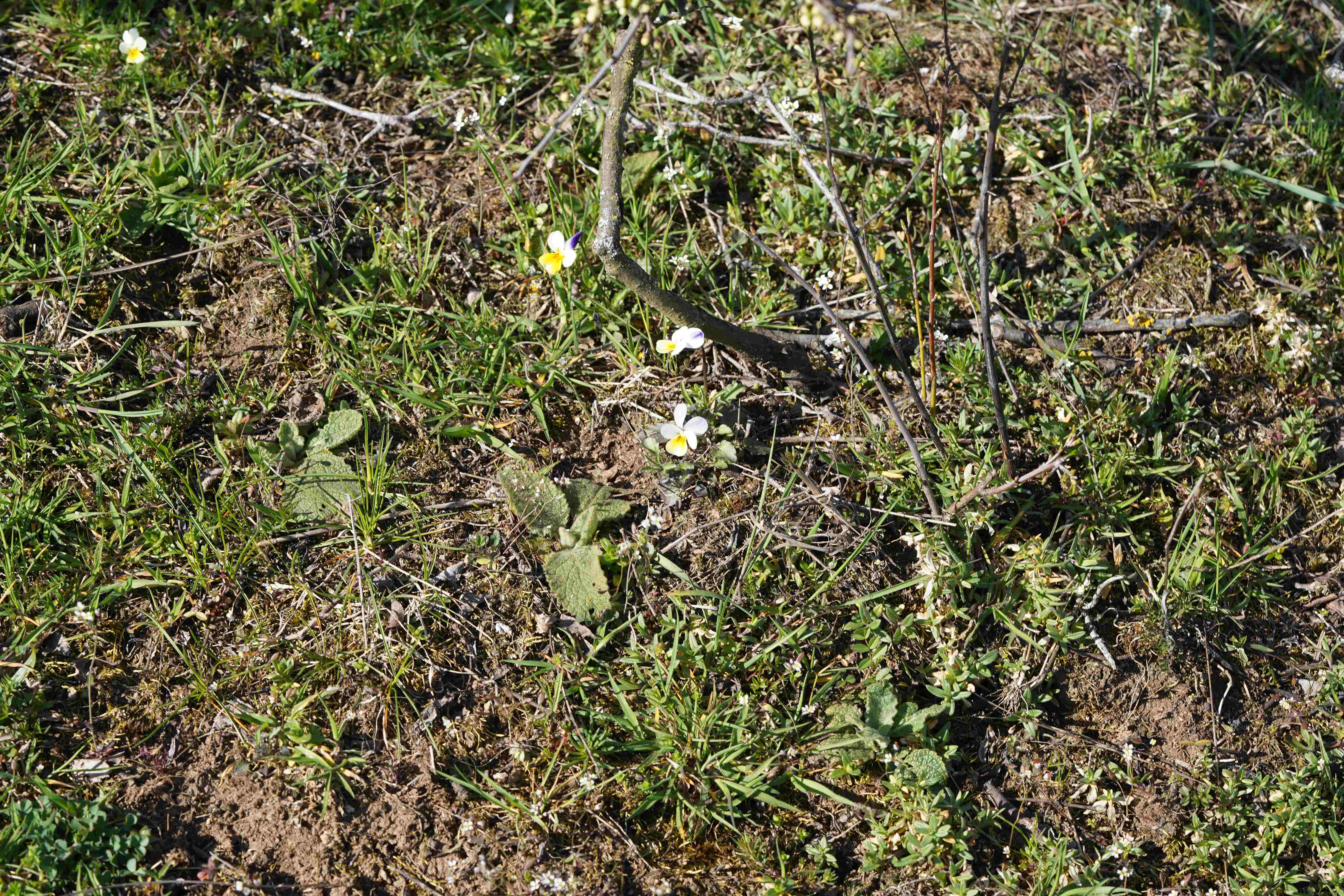 DSC01980-min.JPG