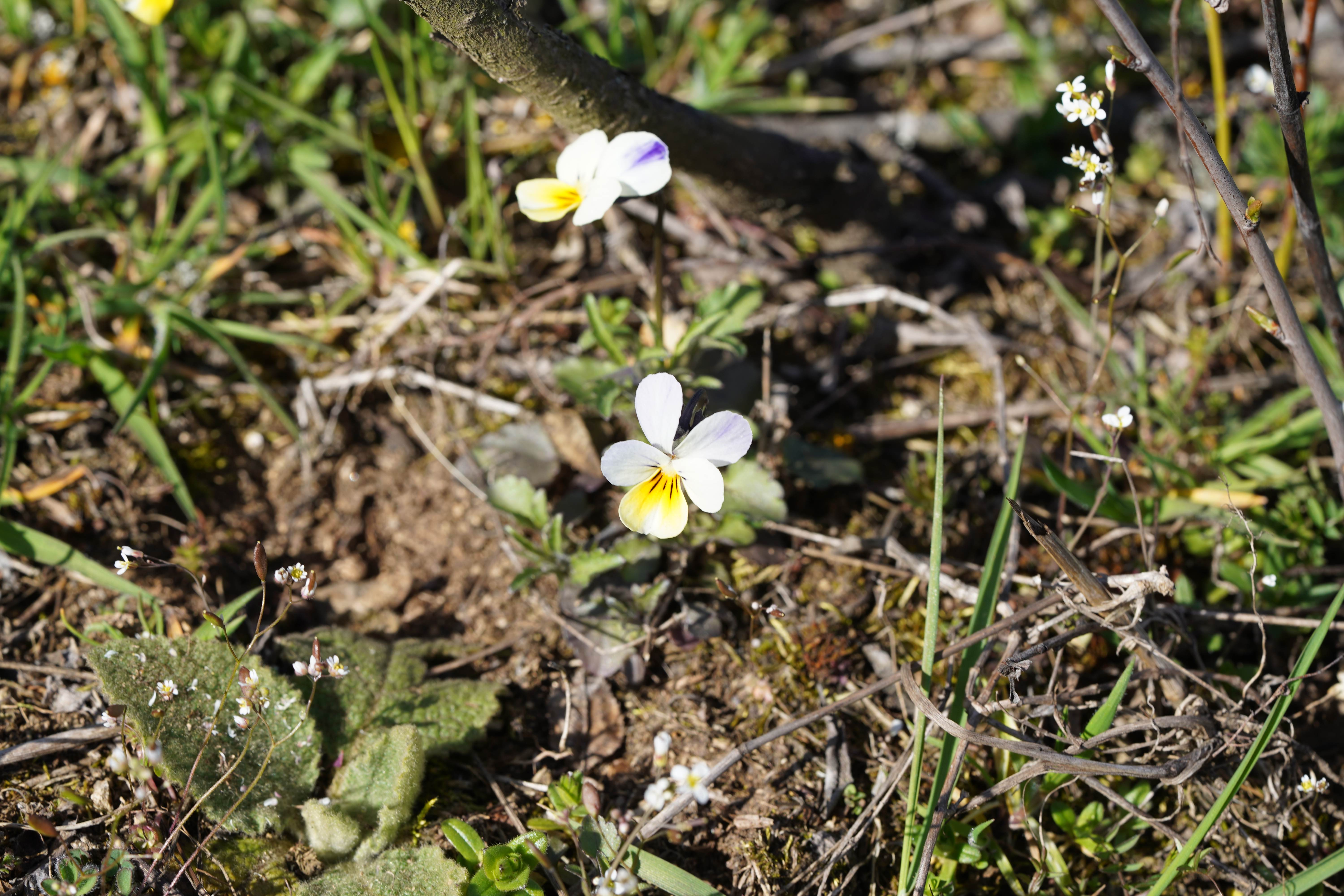 DSC01981-min.JPG