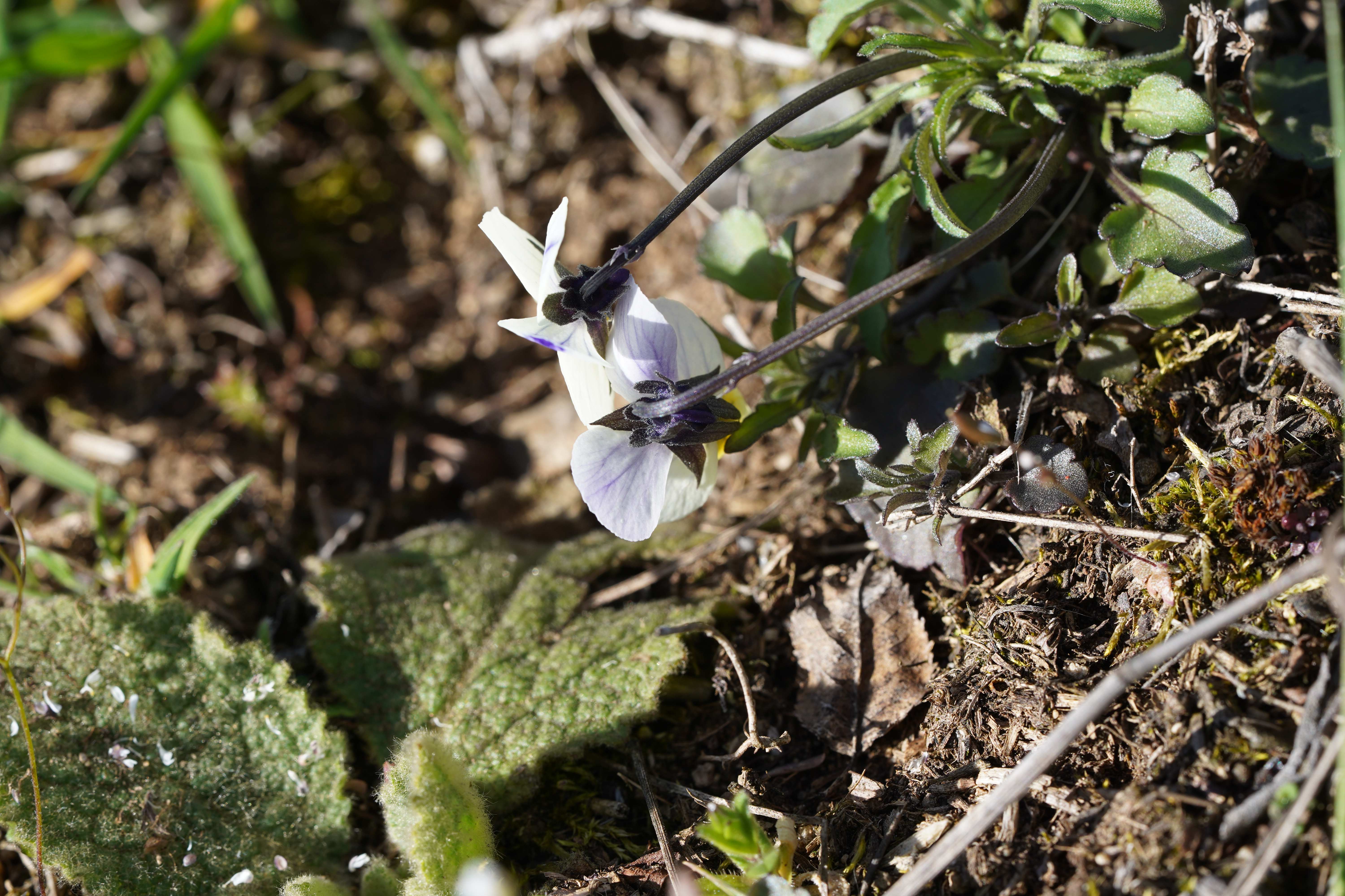 DSC01985-min.JPG