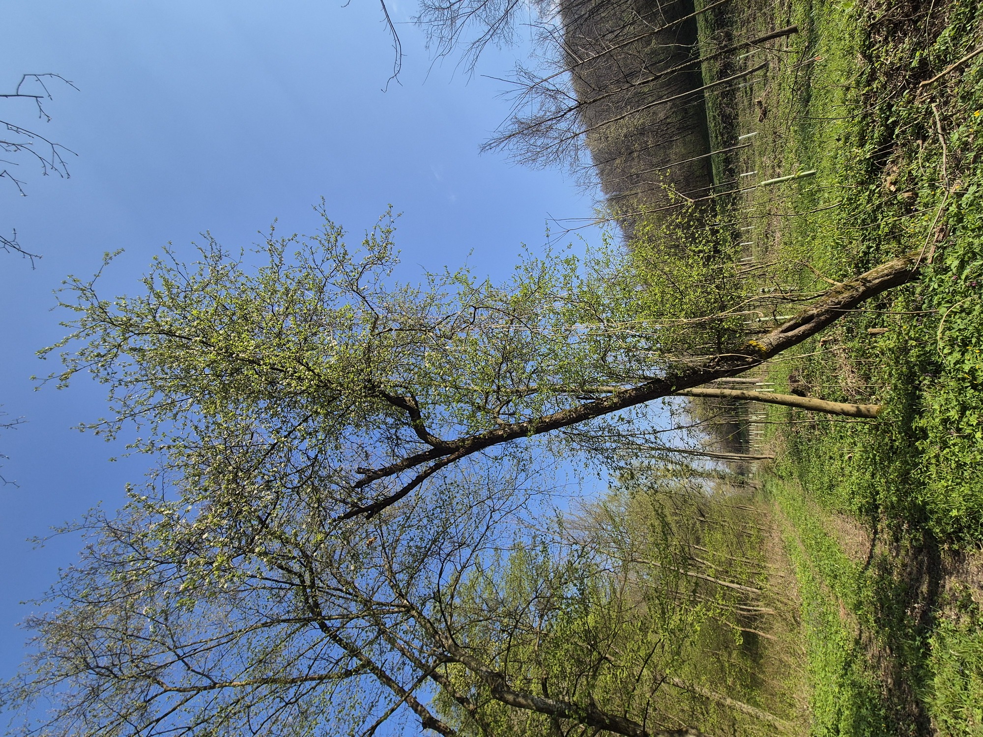 20260417_092117.jpg