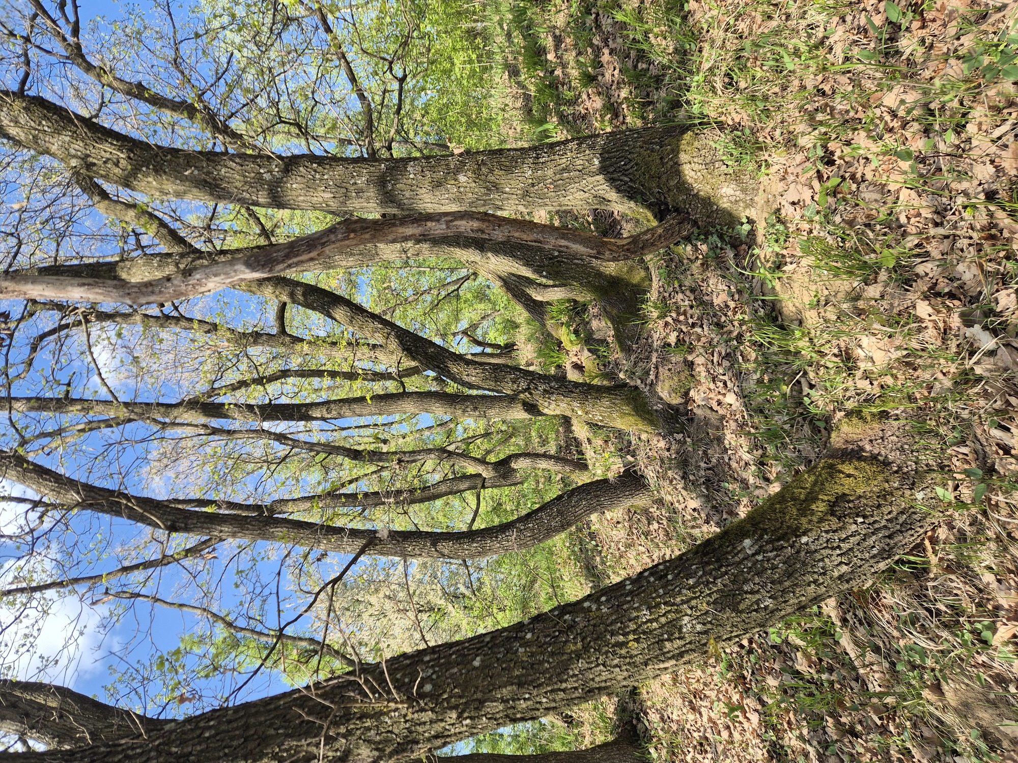 20260417_160959.jpg