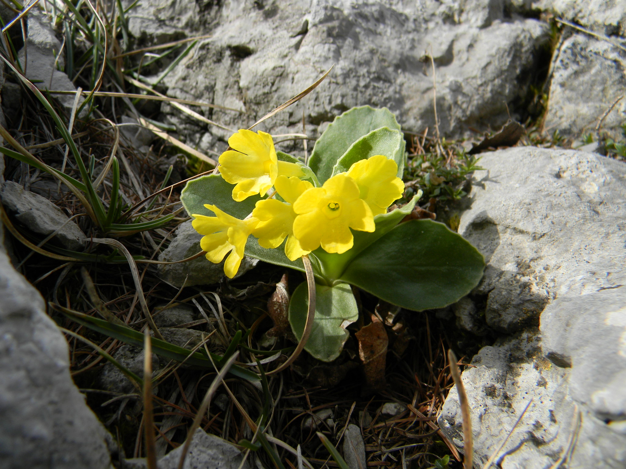 DSCN1920.JPG