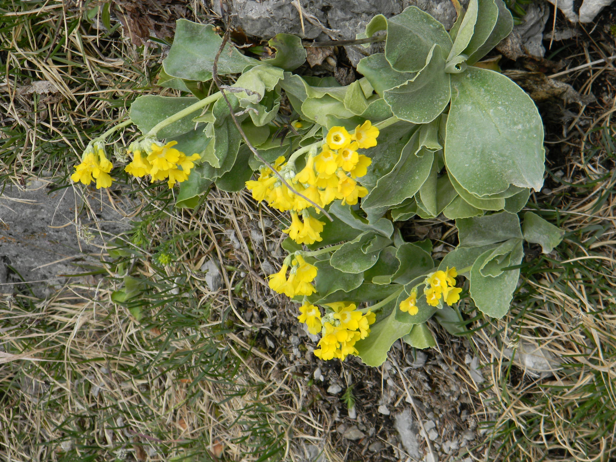DSCN1922.JPG