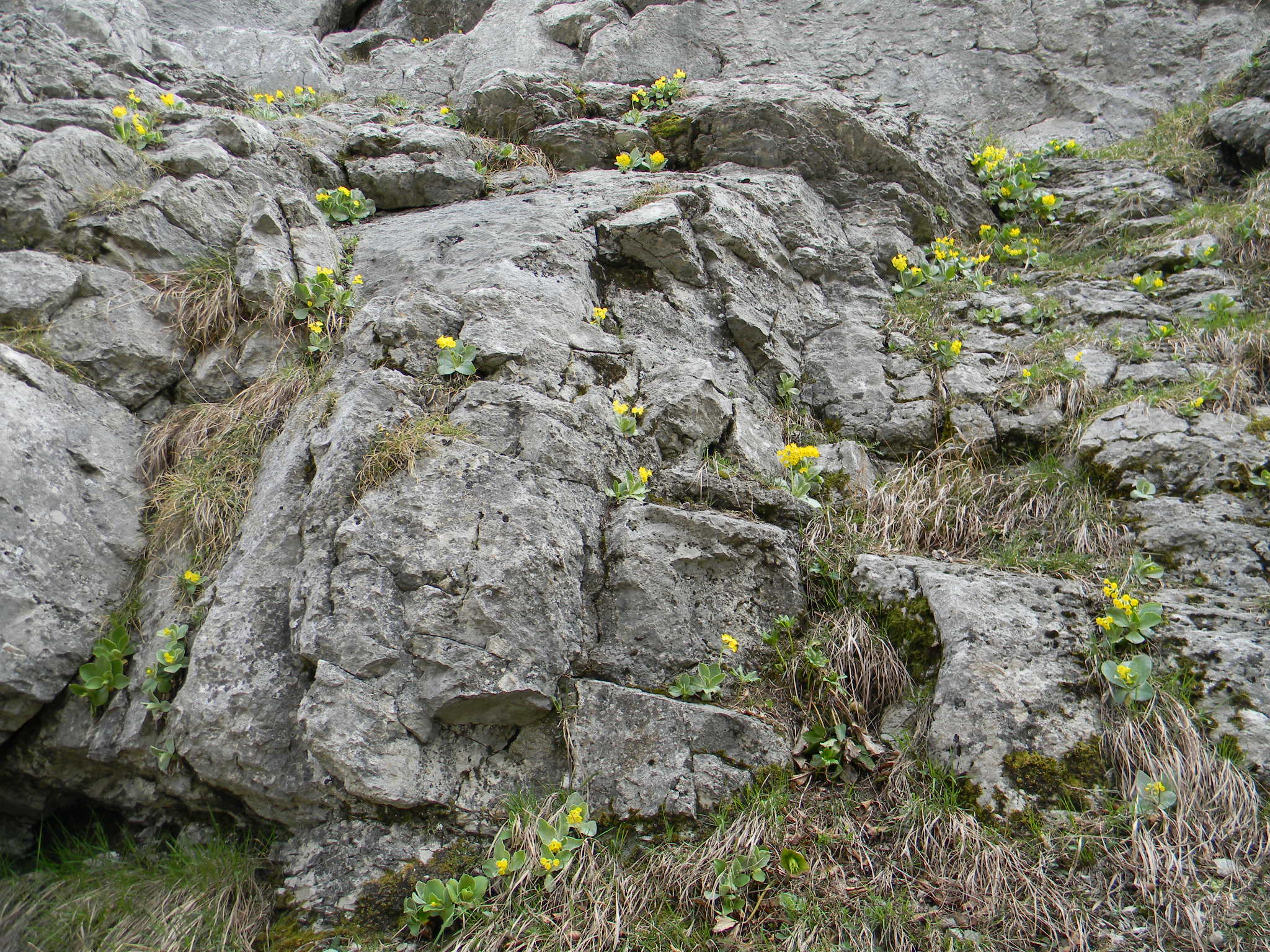 DSCN1923.JPG