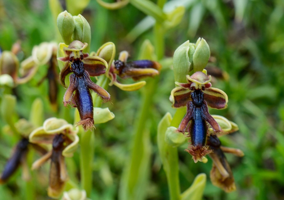 46683042135_28542f66c7_b (1).jpg