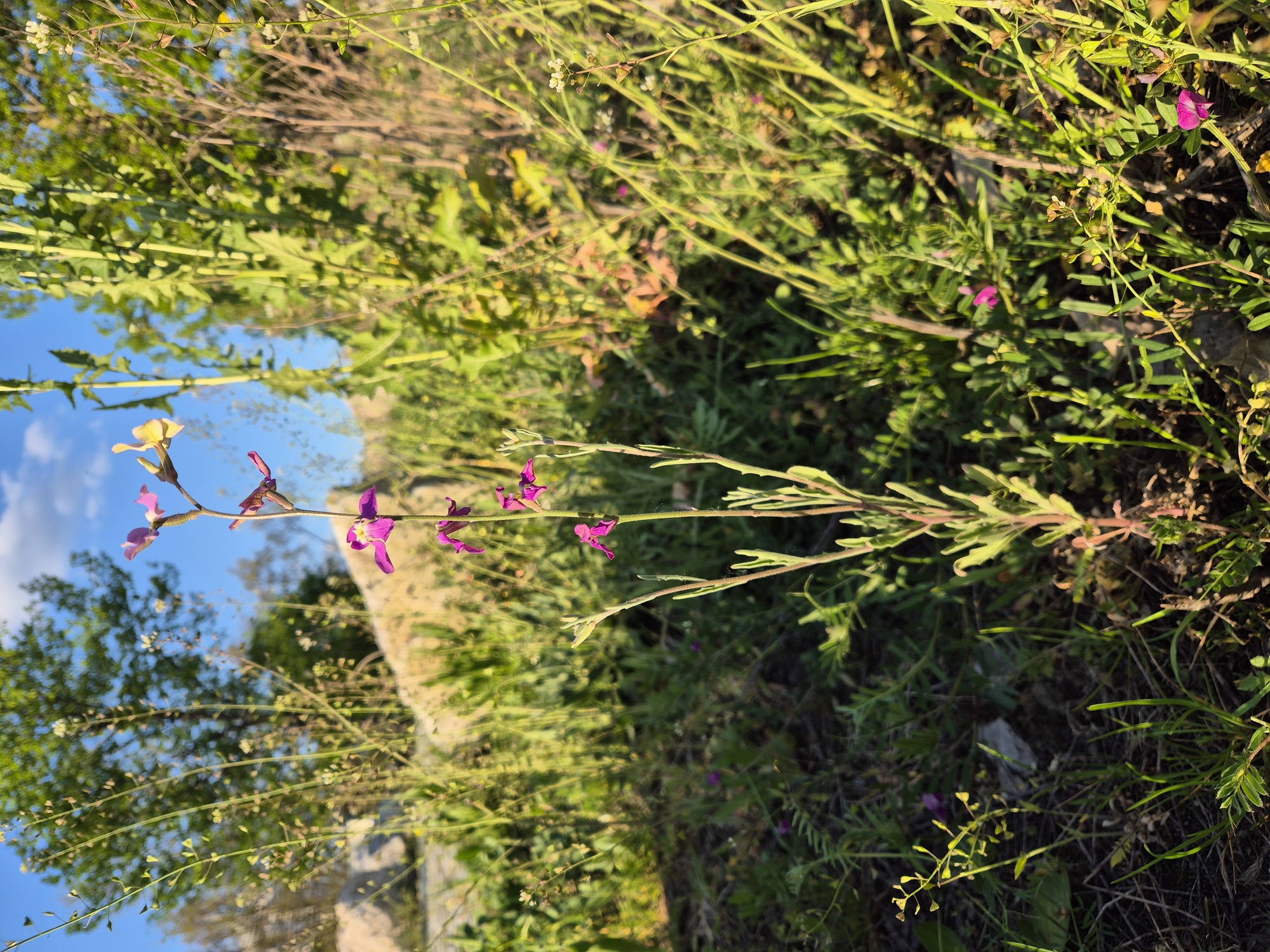 20260422_183830.jpg