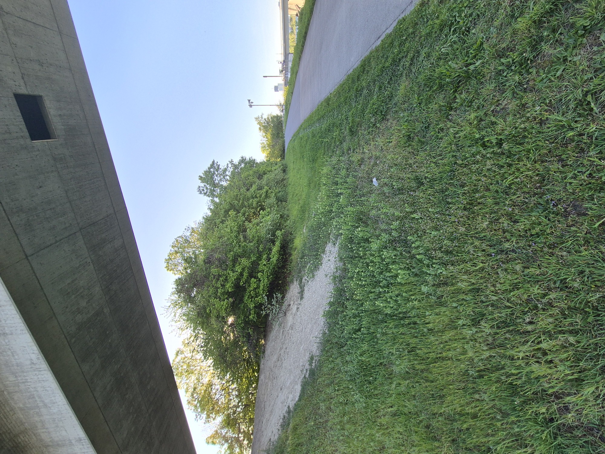 20260423_182252.jpg