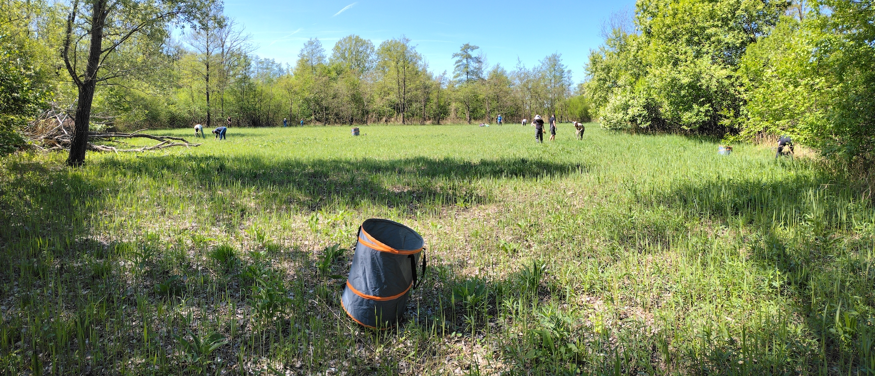 pflegeeinsatz schwertlilienwiese moosbrunn_20260425_112608.jpg