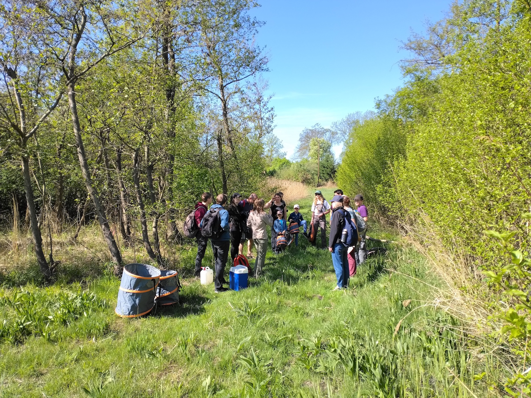 pflegeeinsatz schwertlilienwiese moosbrunn_20260425_101646.jpg