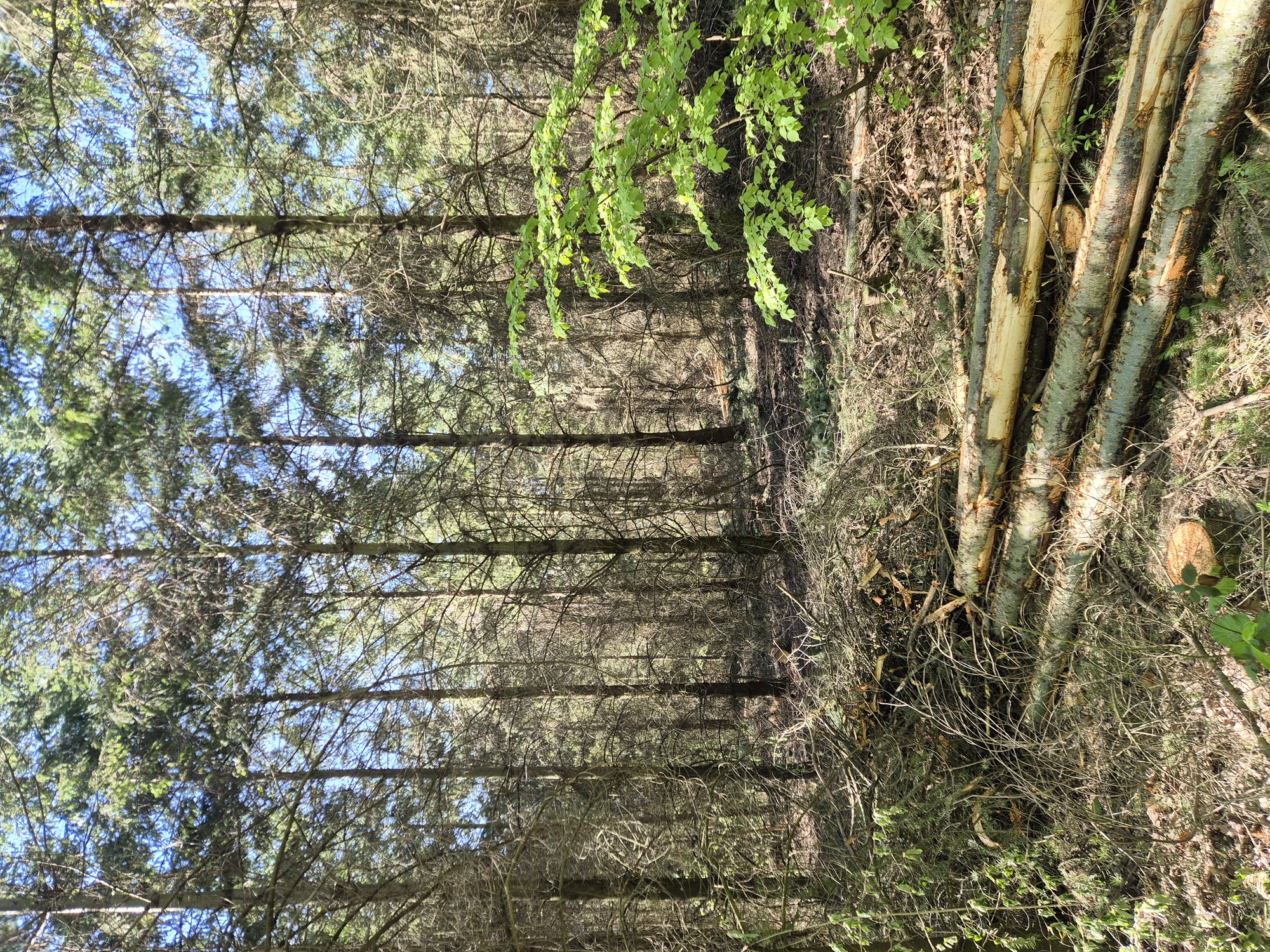 20260425_160453.jpg