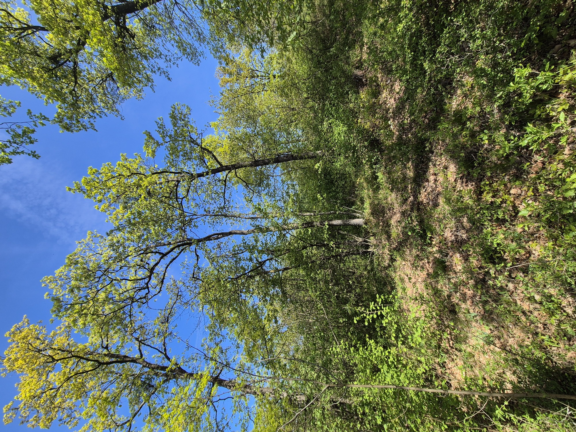 20260425_103740.jpg