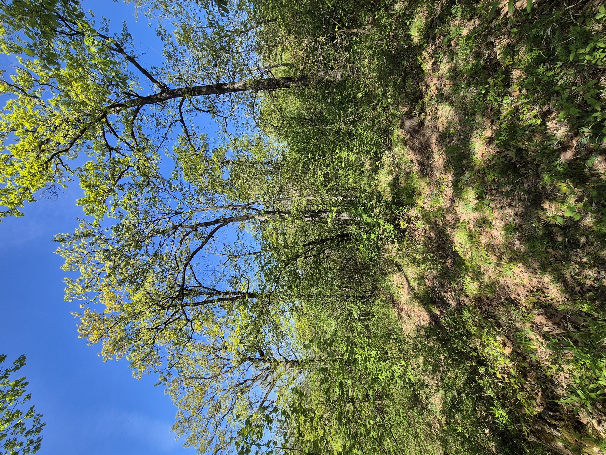 20260425_105503.jpg