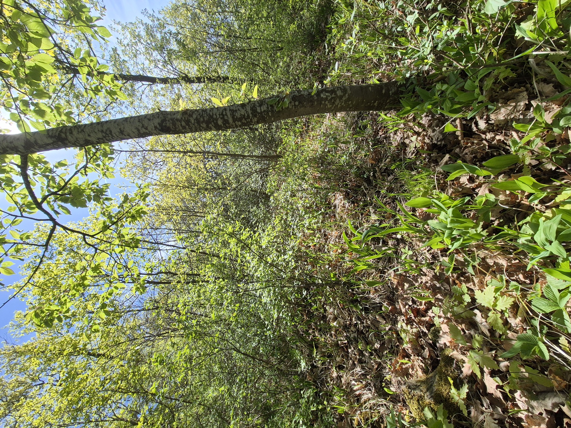 20260425_104545.jpg