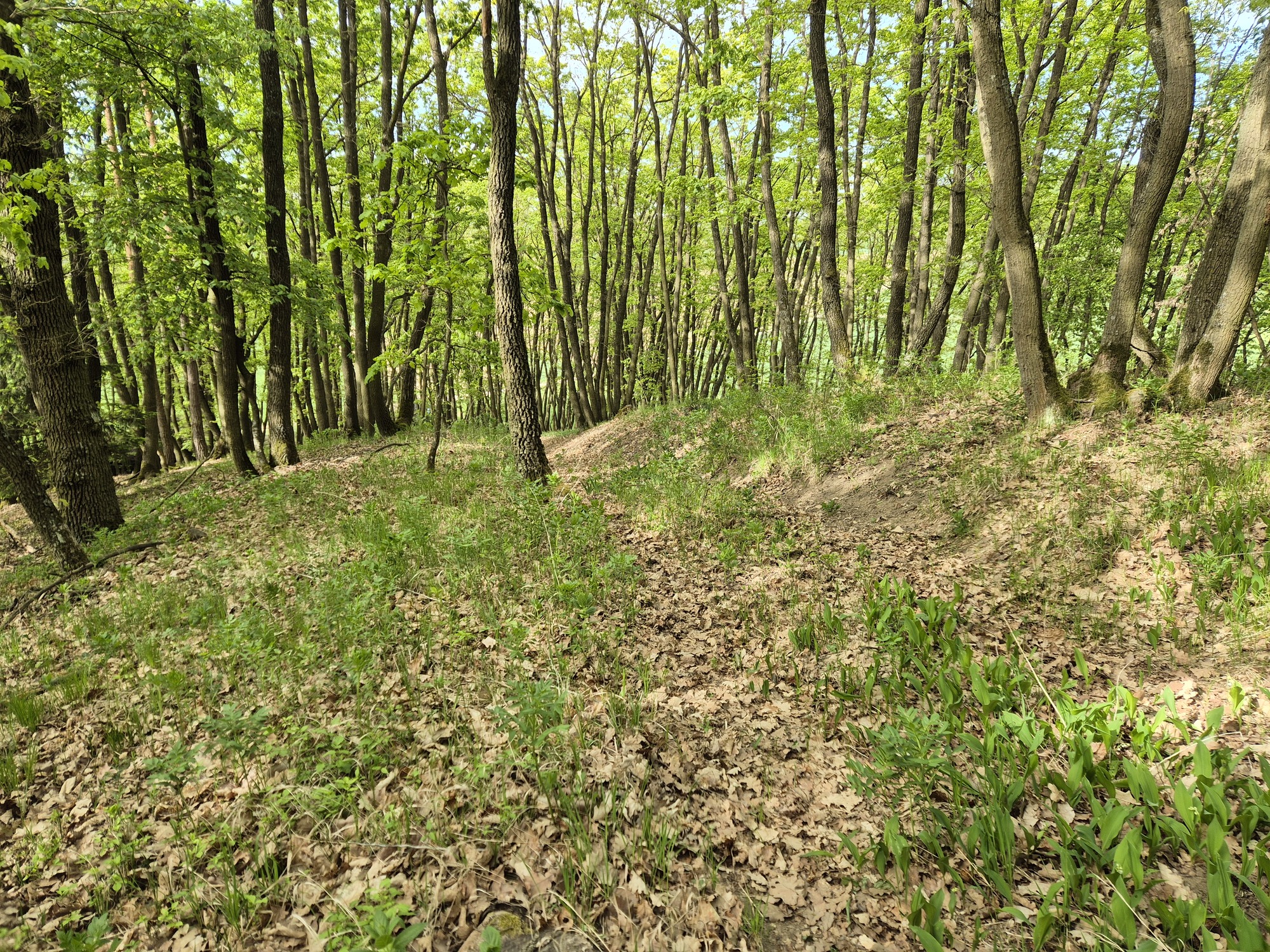 20260501_091043.jpg