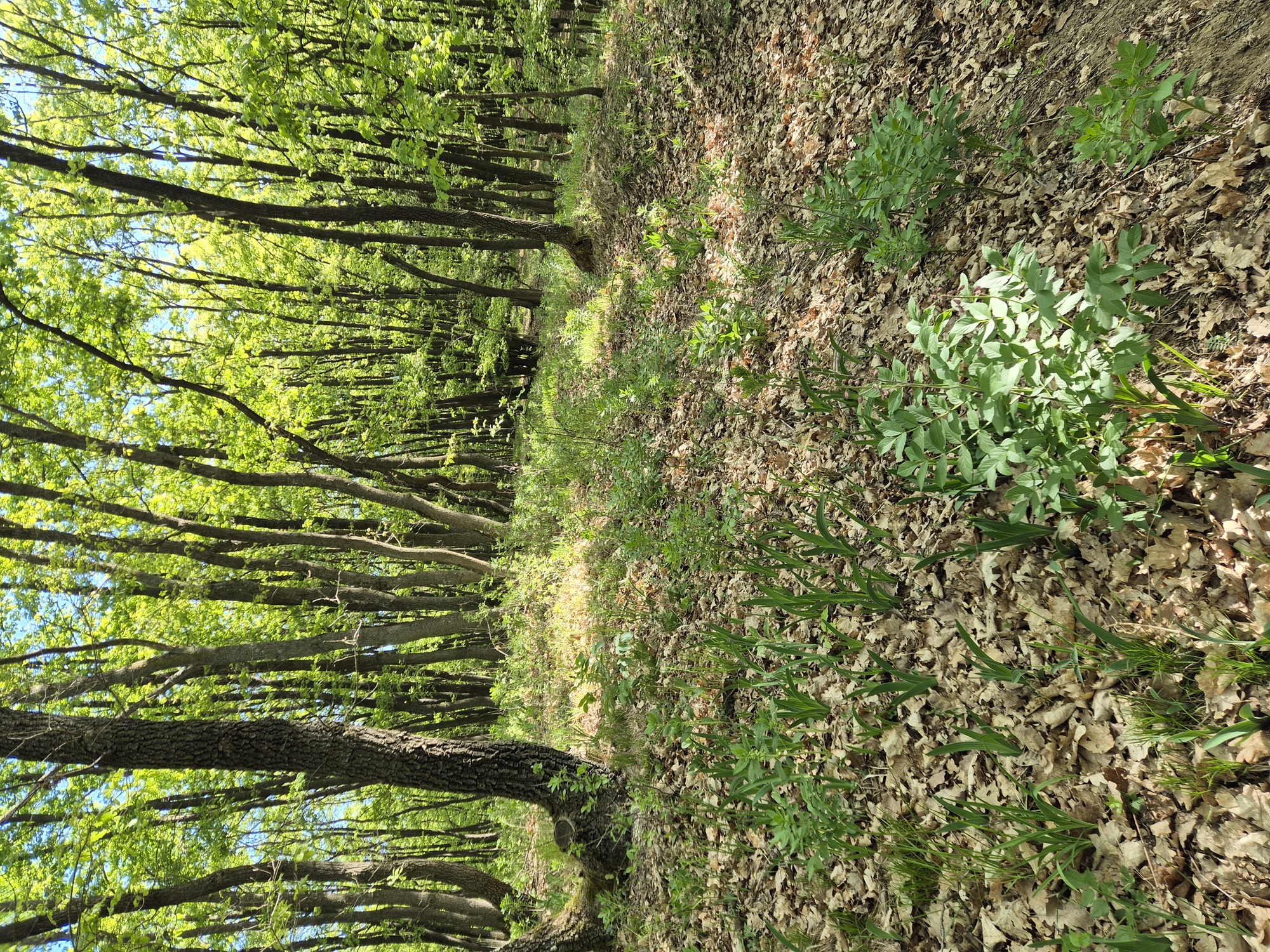 20260501_092215.jpg