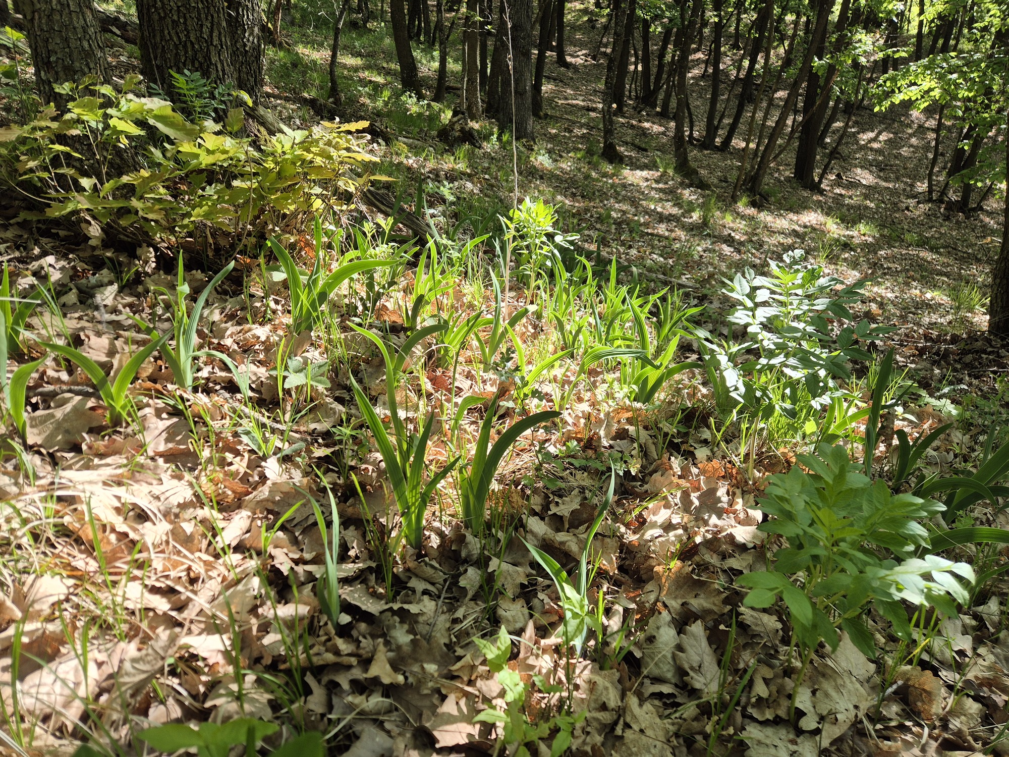 20260501_092751.jpg