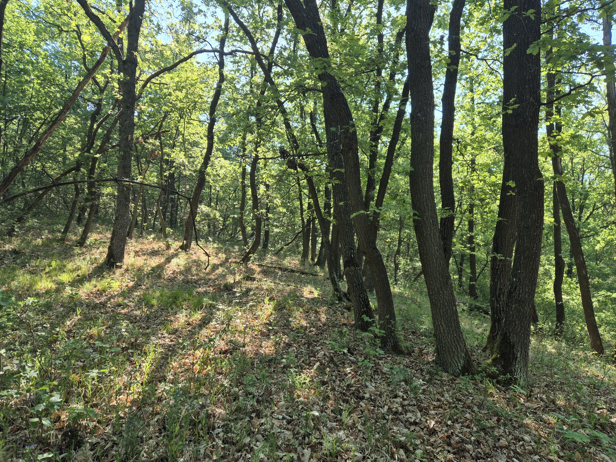 20260510_092532.jpg
