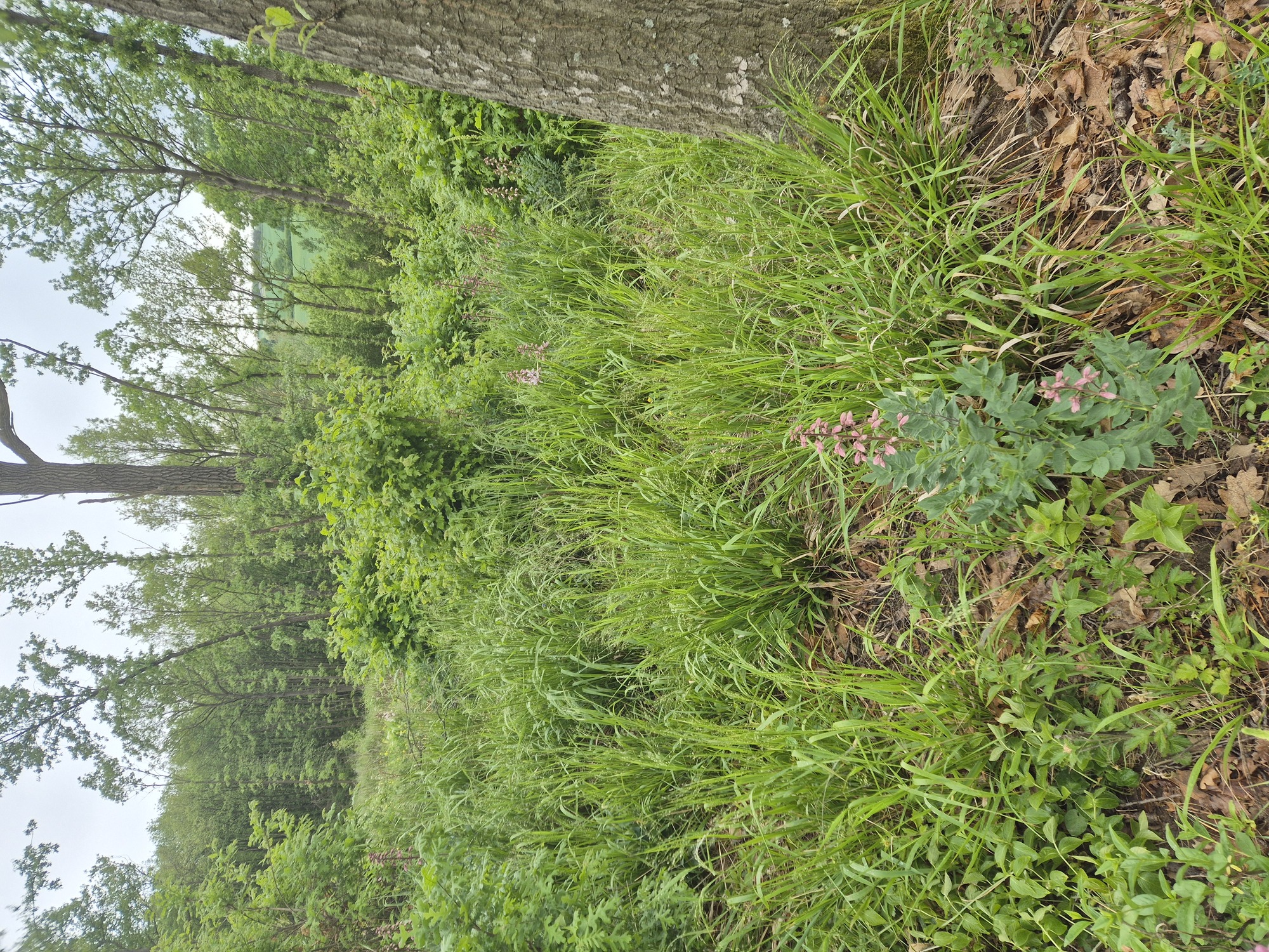 20260514_095006.jpg
