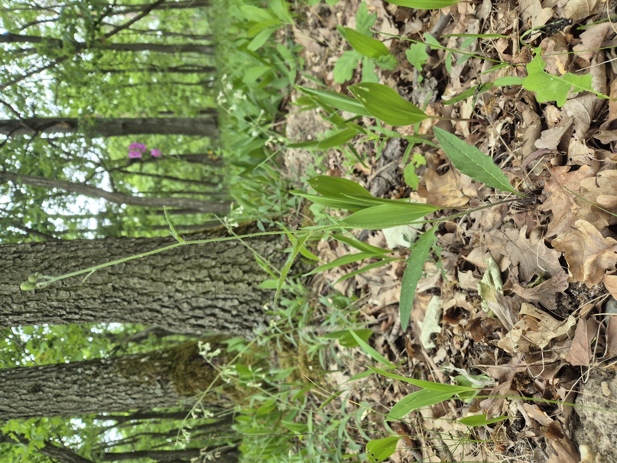 20260514_170345.jpg