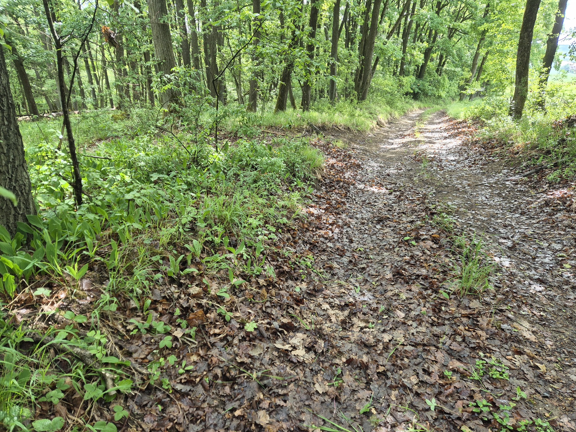 20260515_102225.jpg