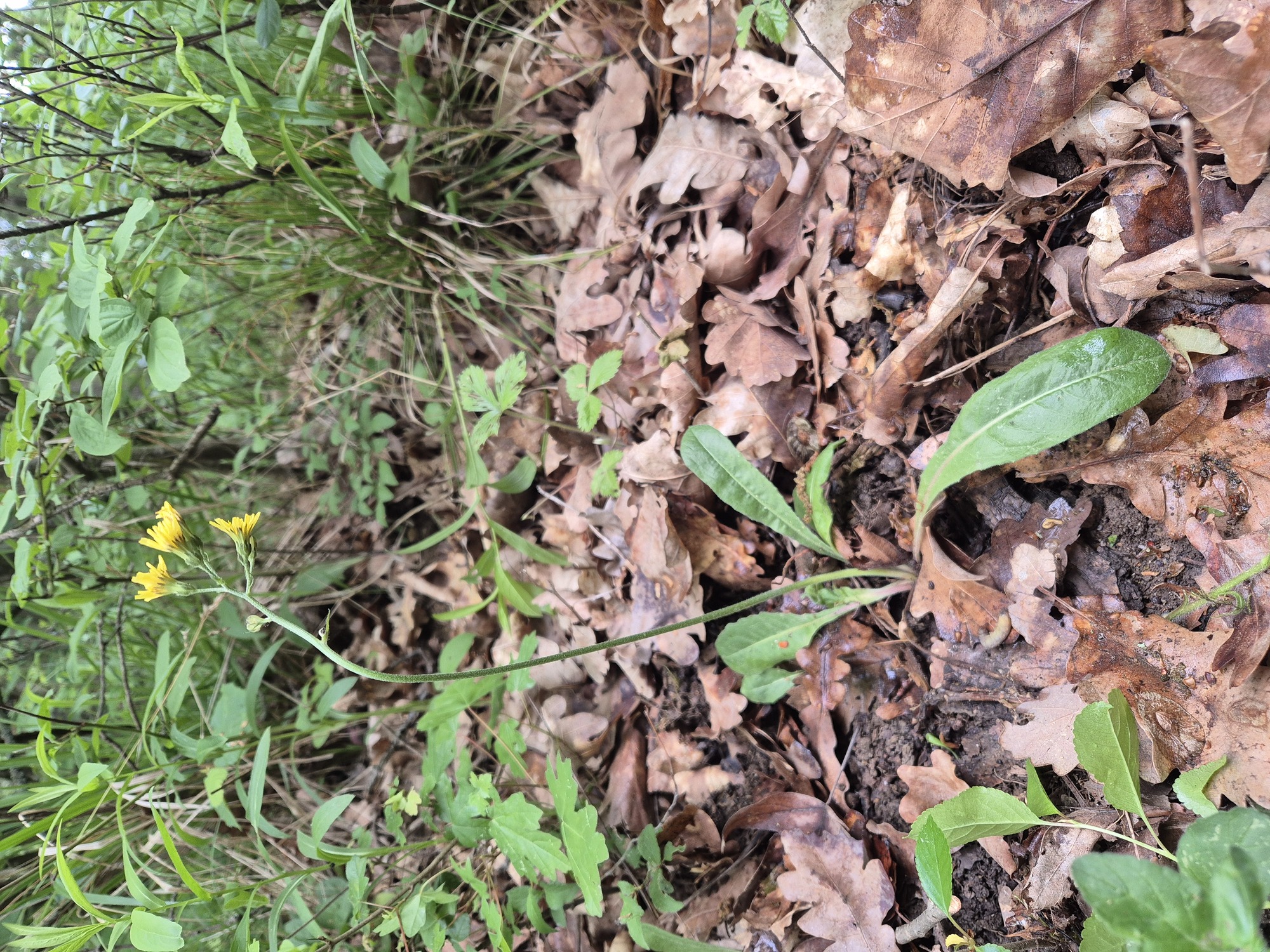 20260515_160659.jpg