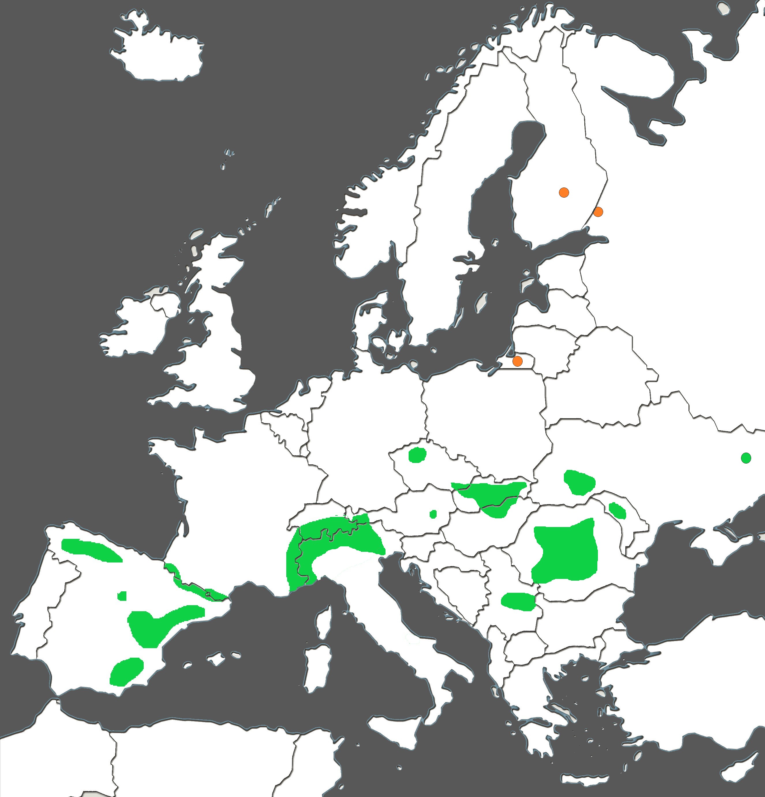 Thalictrum foetidum in Europa.jpg