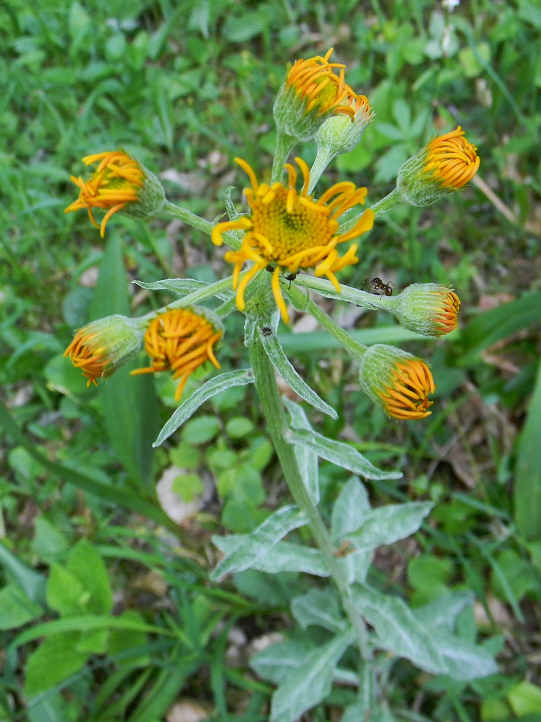 DSCN2058.JPG