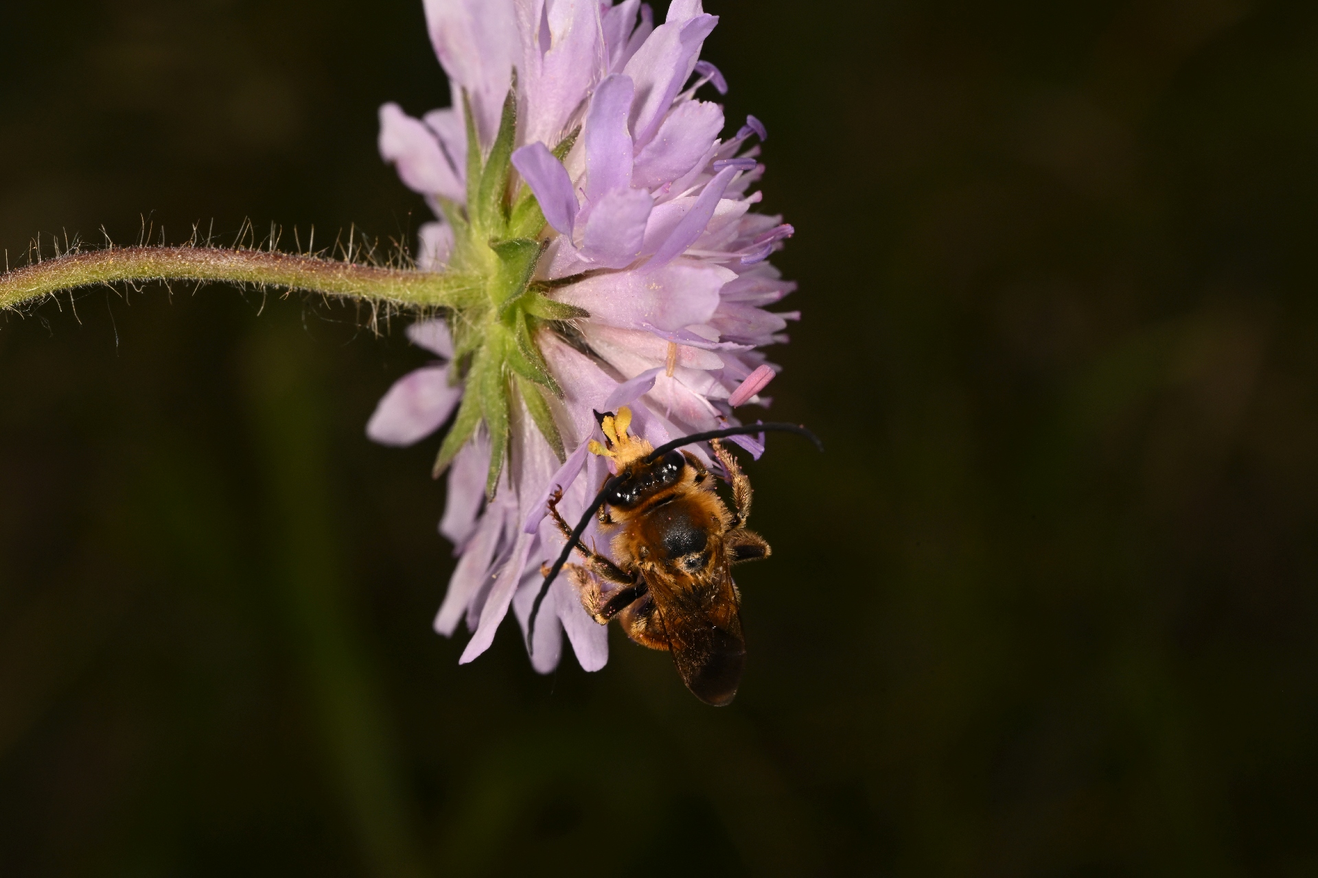 DSC_3311.jpg