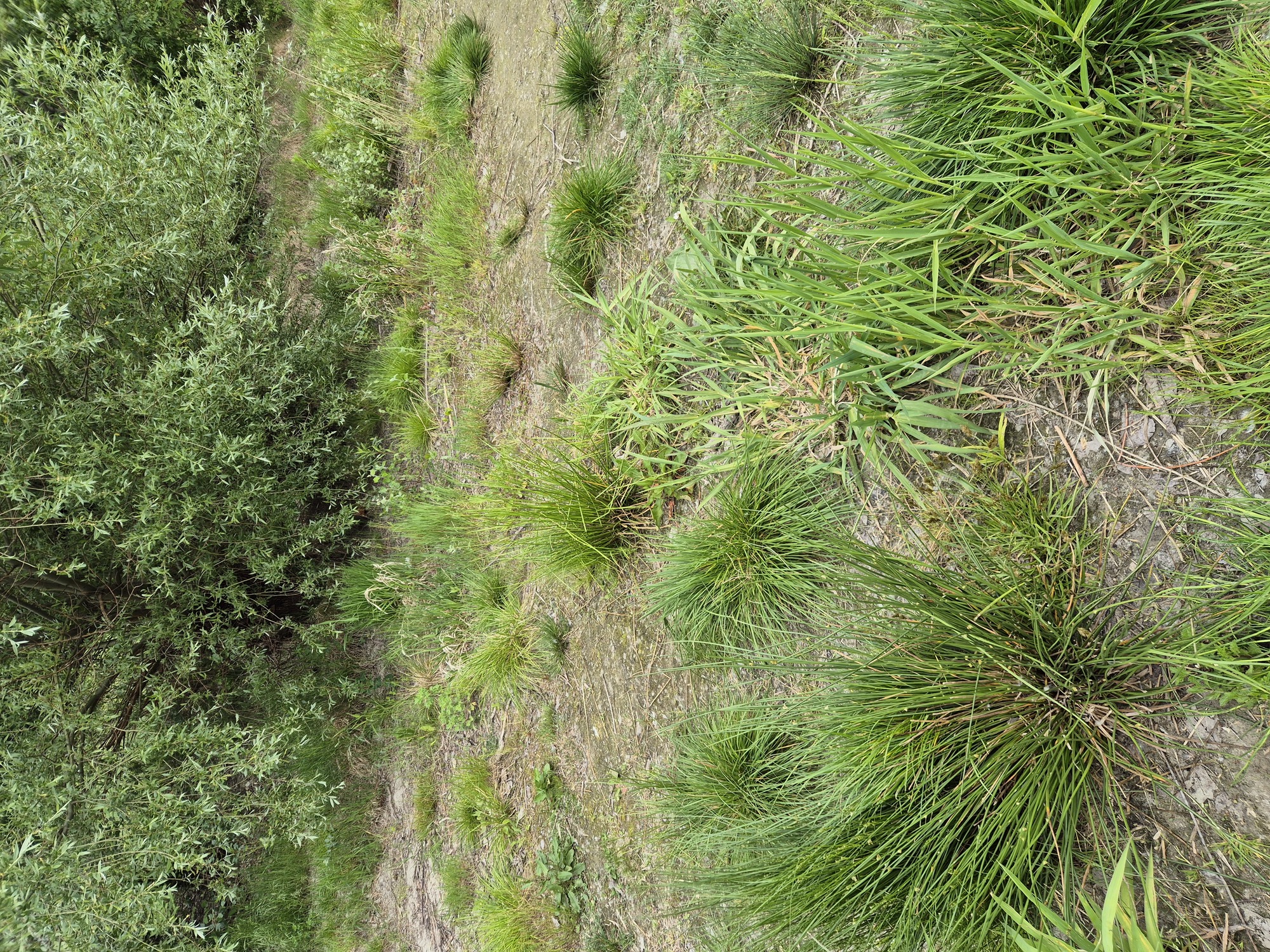 20260522_172752.jpg