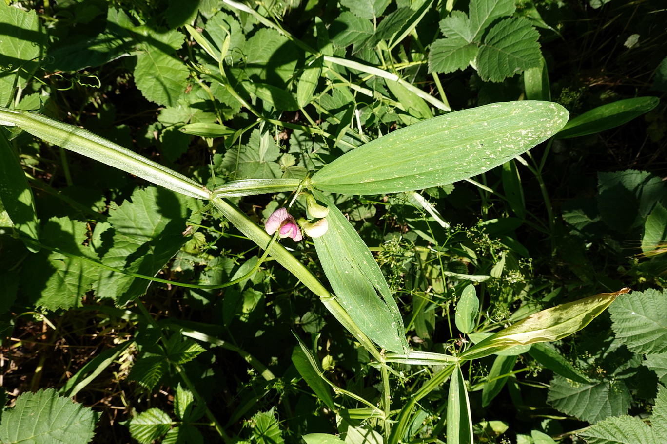 DSC02472.JPG