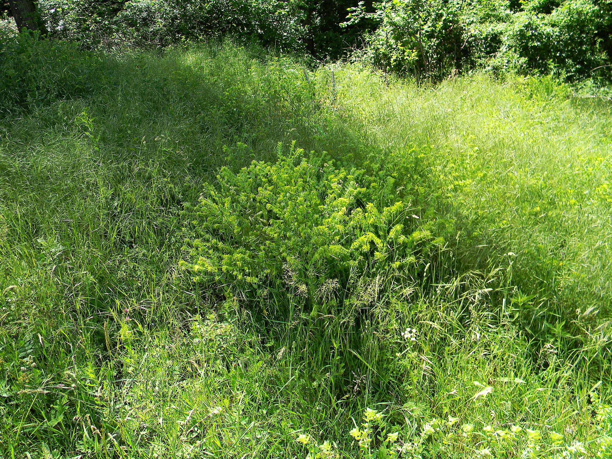 DSCN2086.JPG