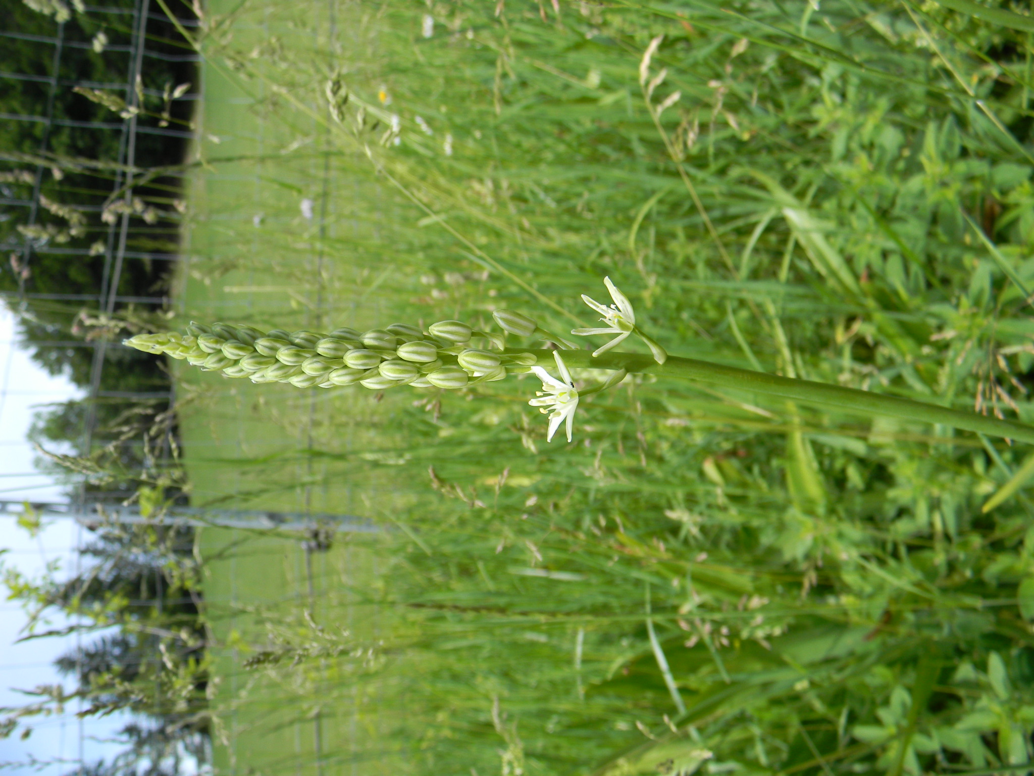 DSCN2081.JPG