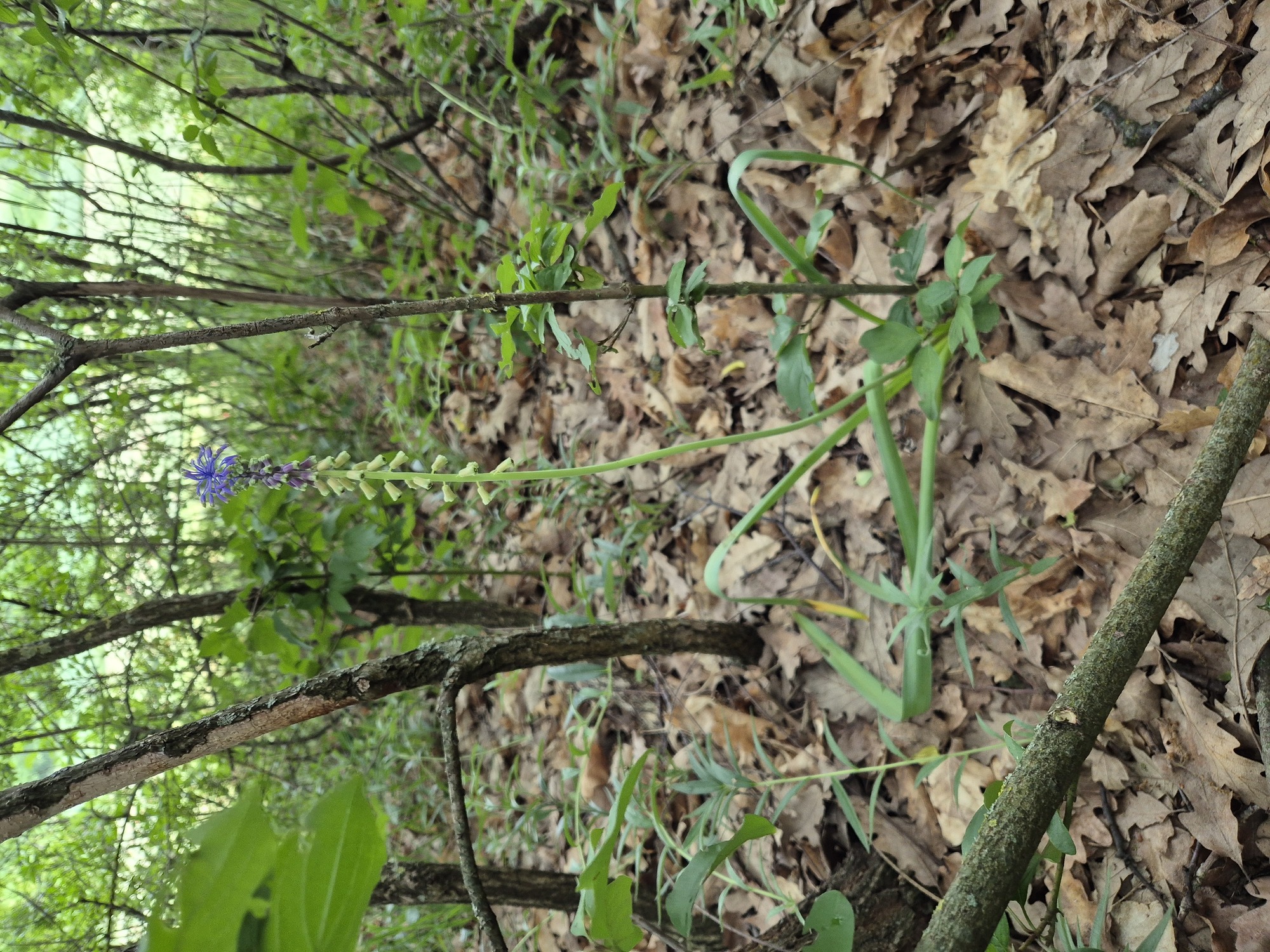 20260605_101827.jpg