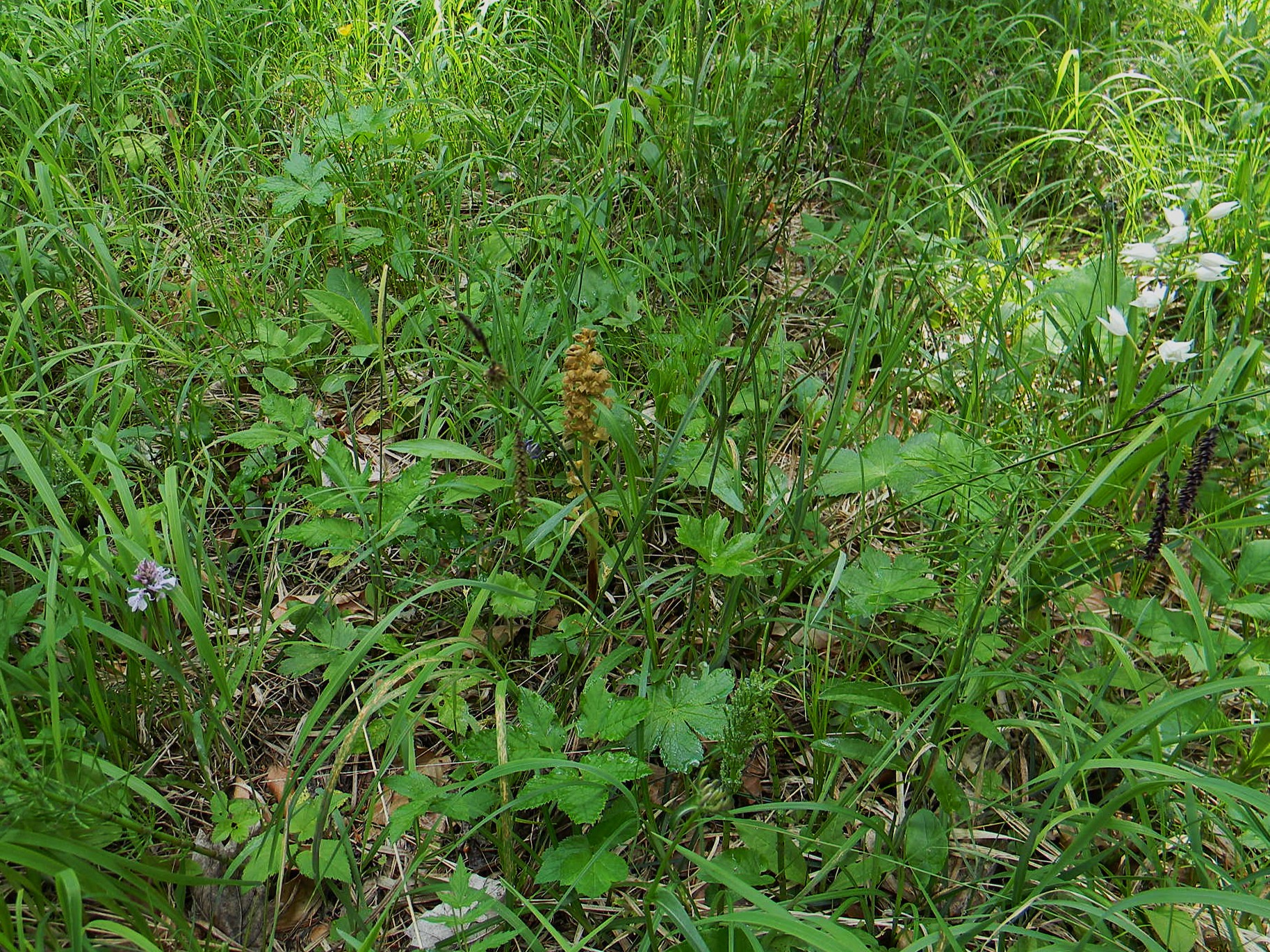 DSCN2097.JPG