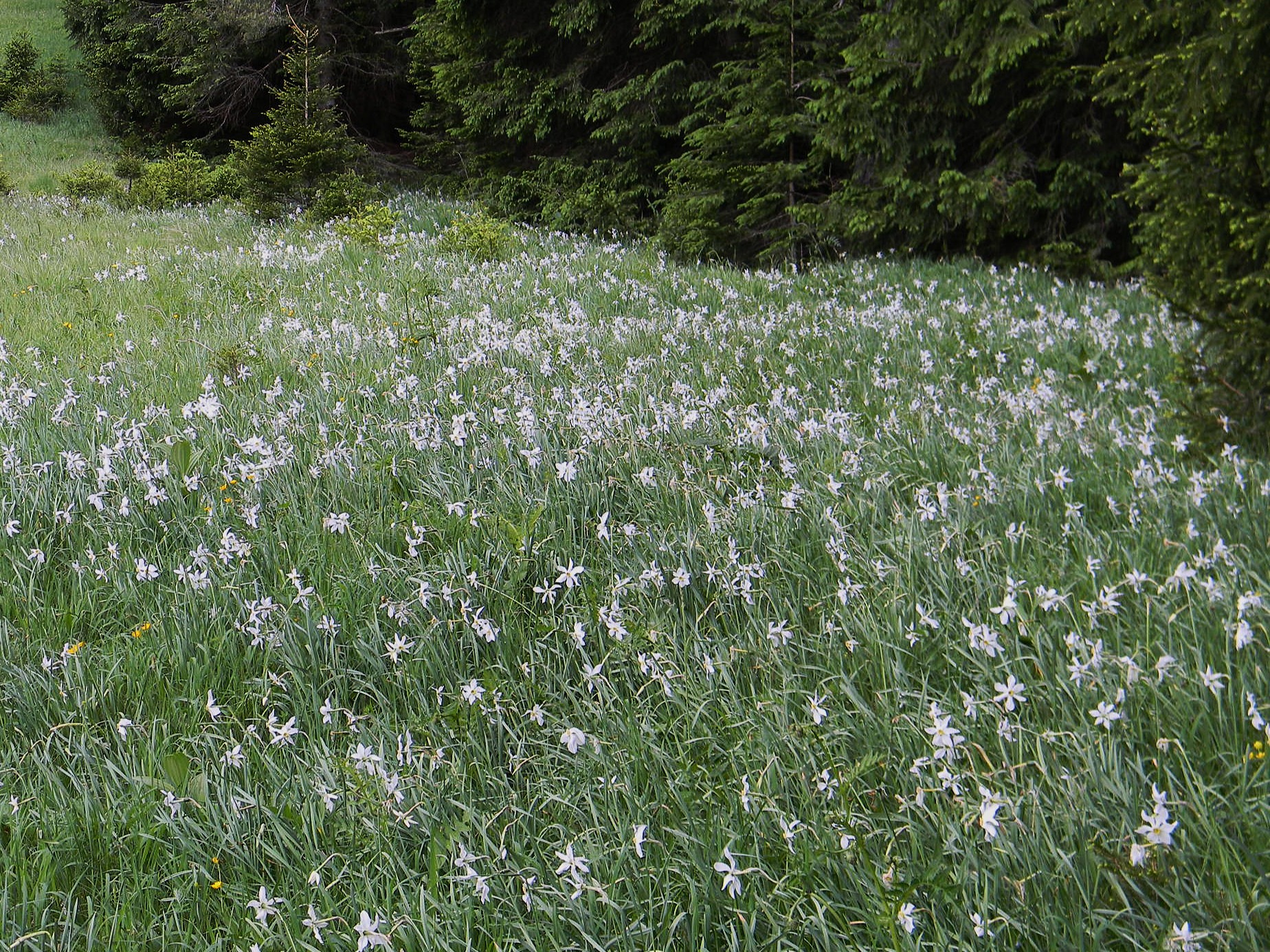 DSCN2108.JPG
