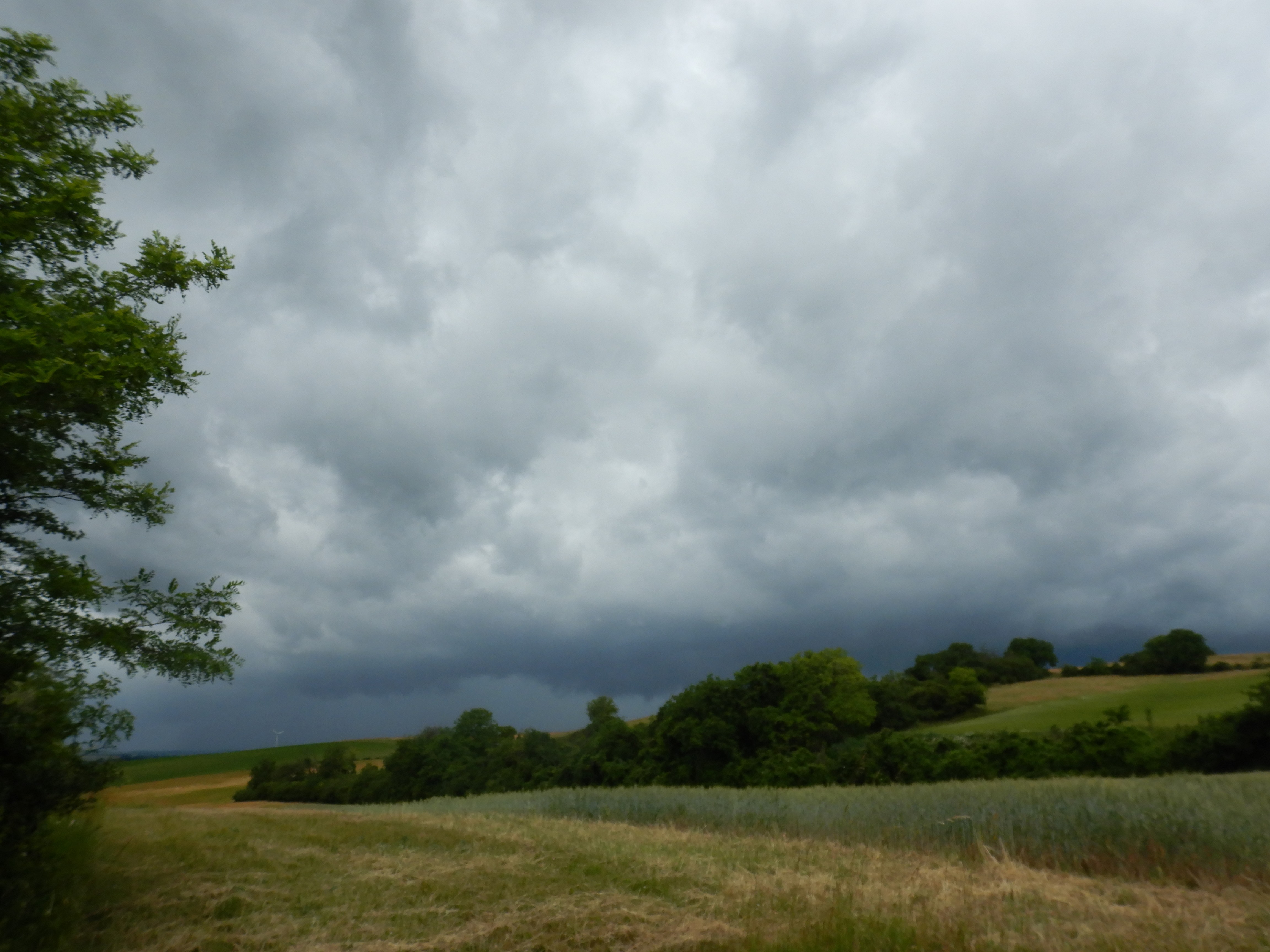 DSCN0789.jpg