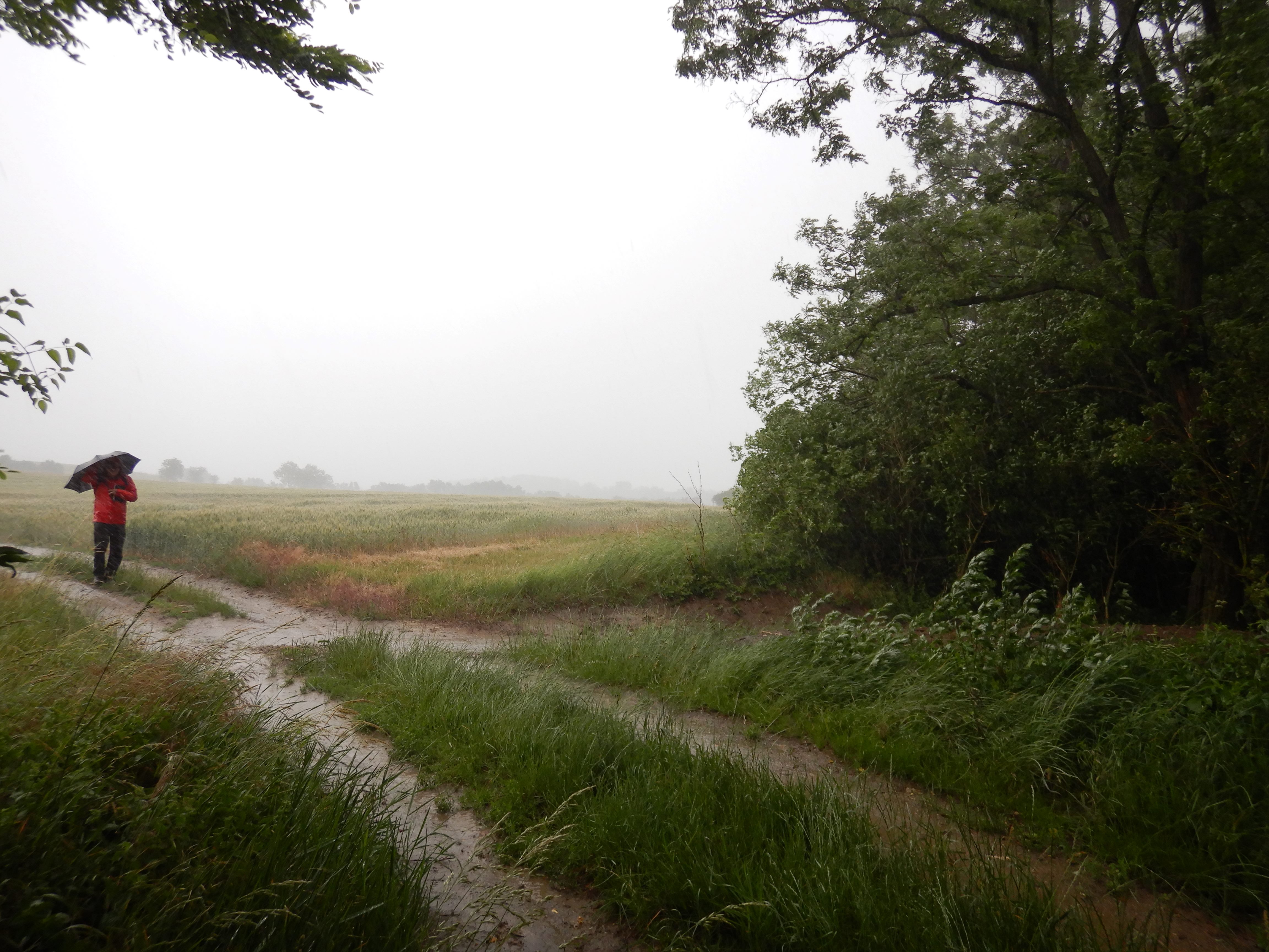 DSCN0796.jpg