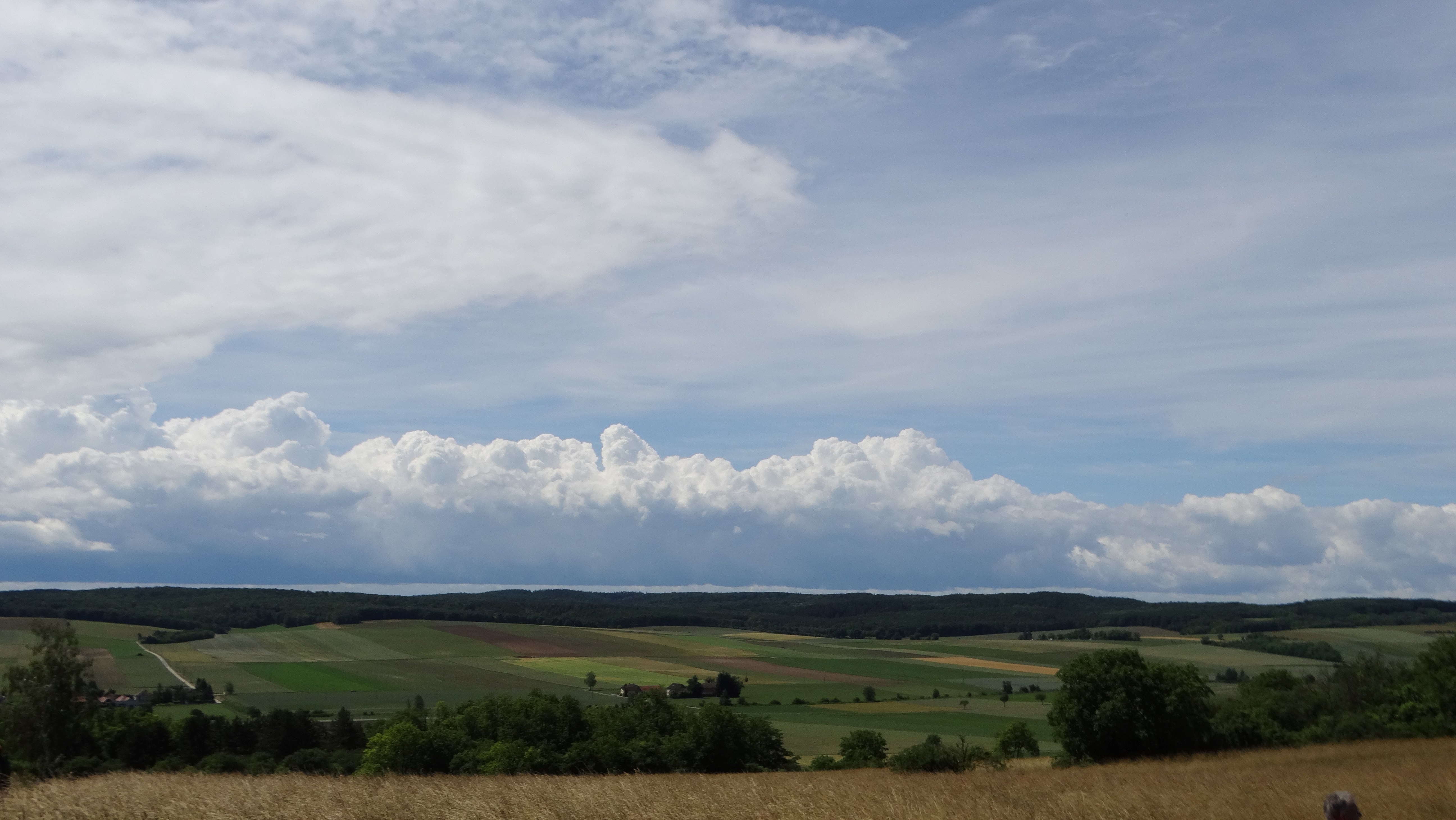 DSC04416.jpg