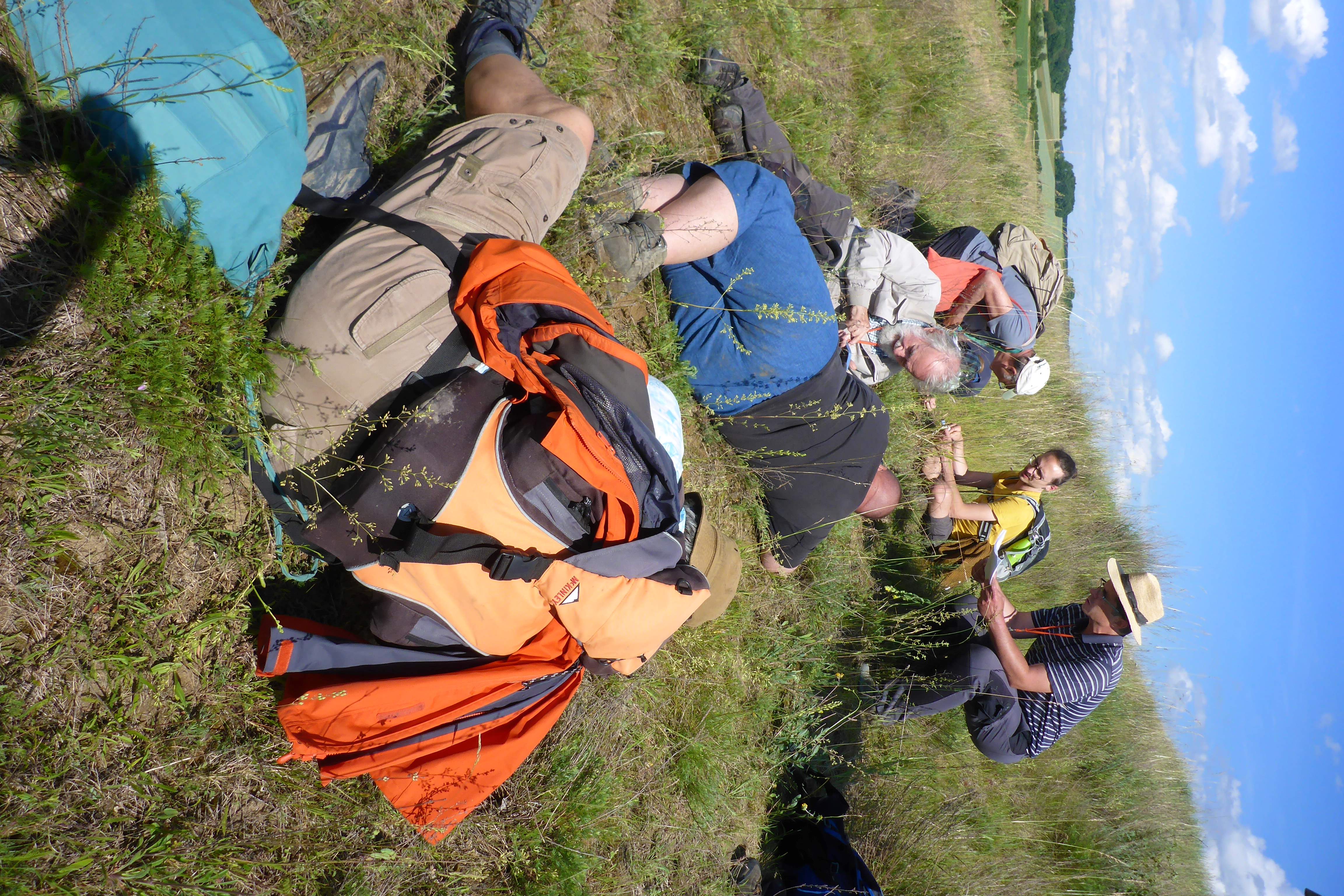 P1340784.jpg