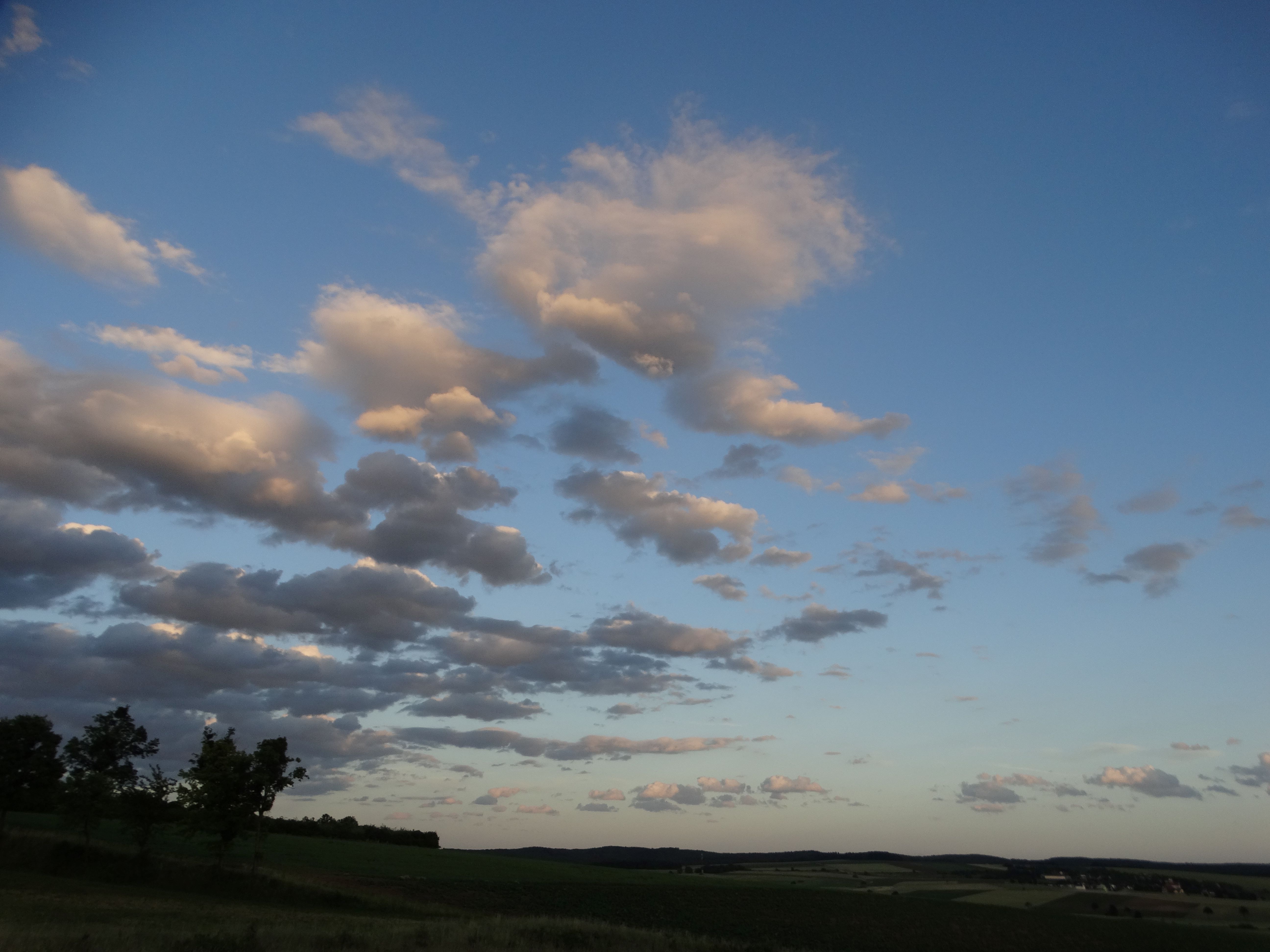 DSC04486.jpg