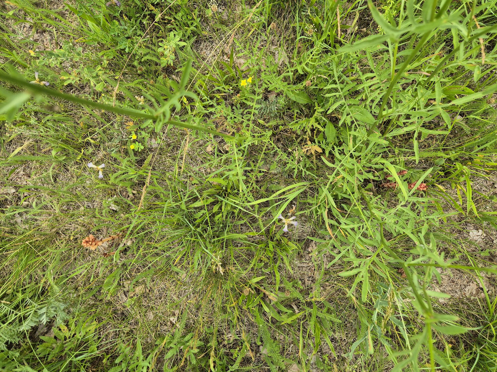 20260620_152158.jpg