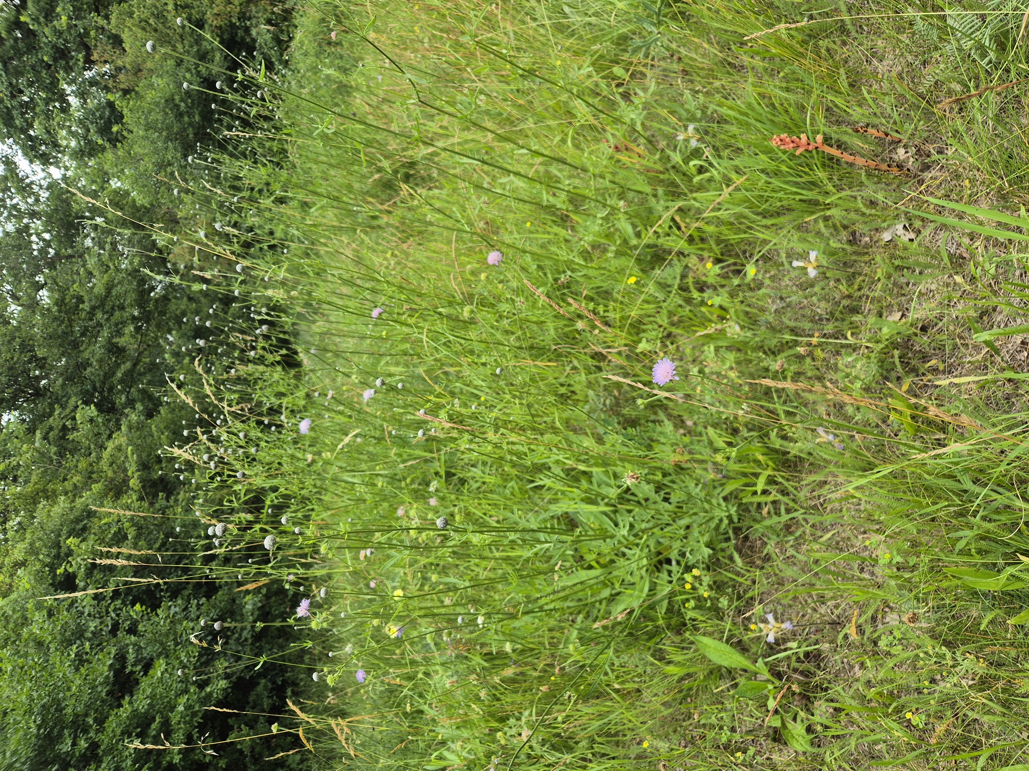 20260620_152453.jpg