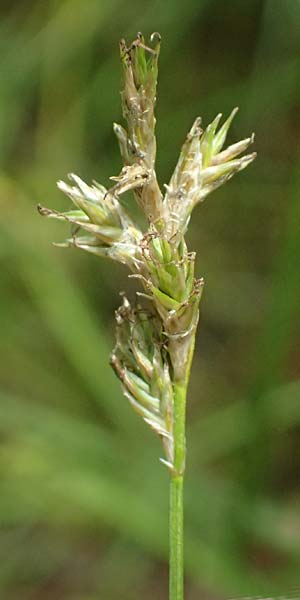 Cu692679.jpg