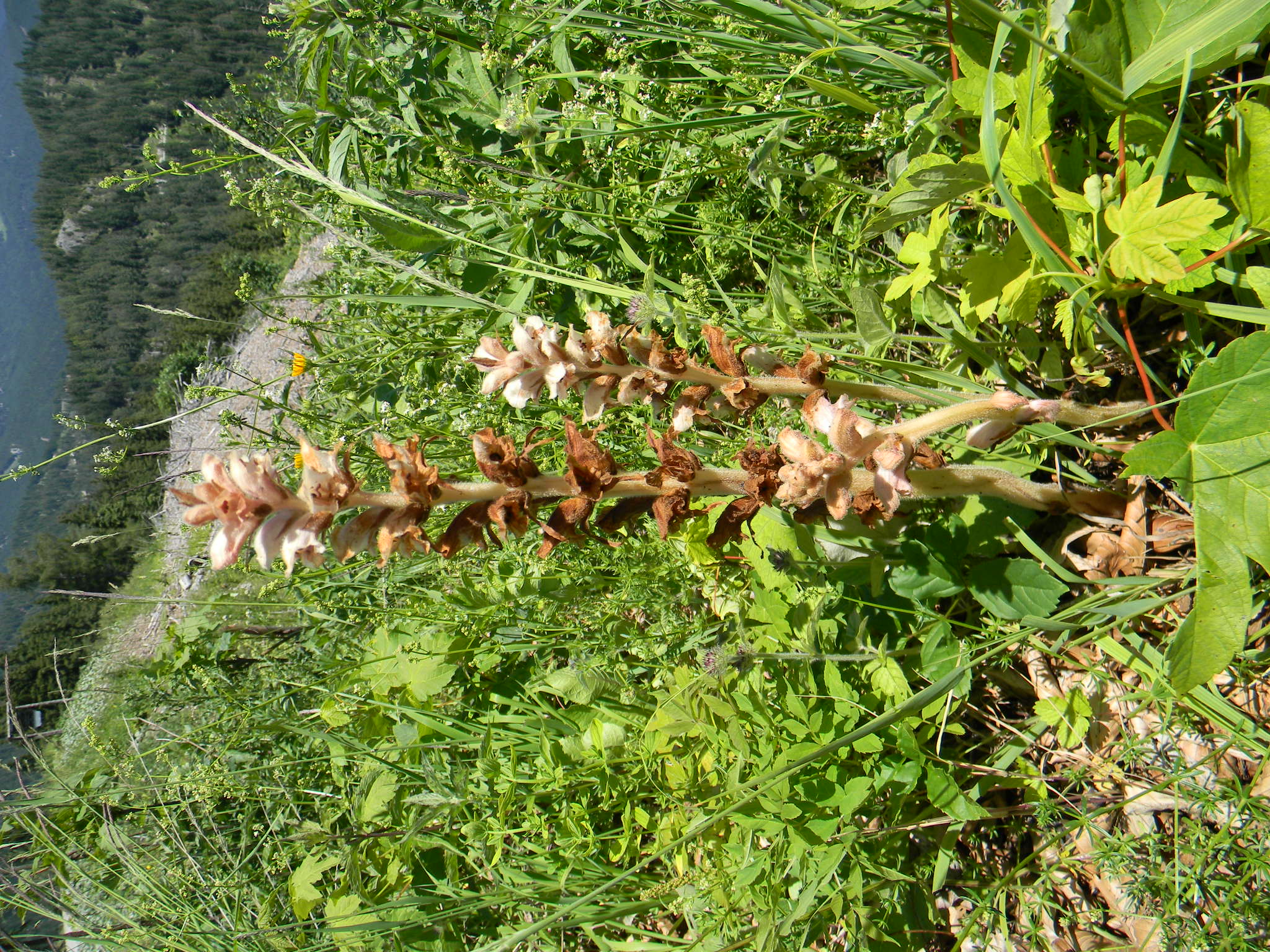 DSCN2126.JPG