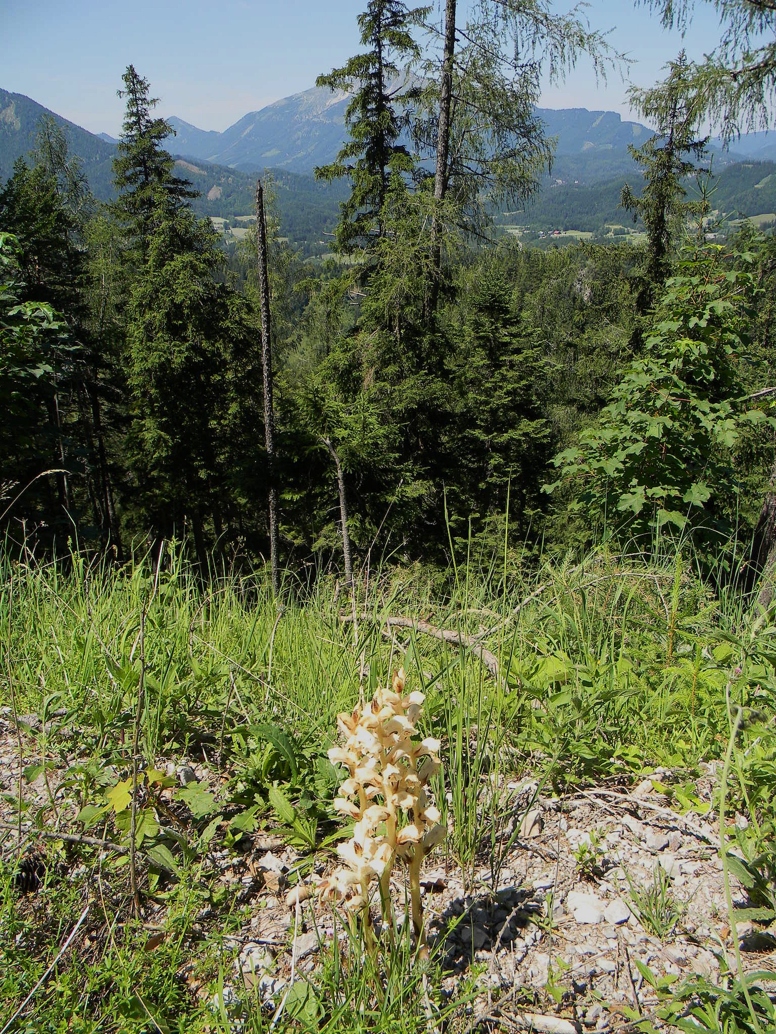 DSCN2132.JPG