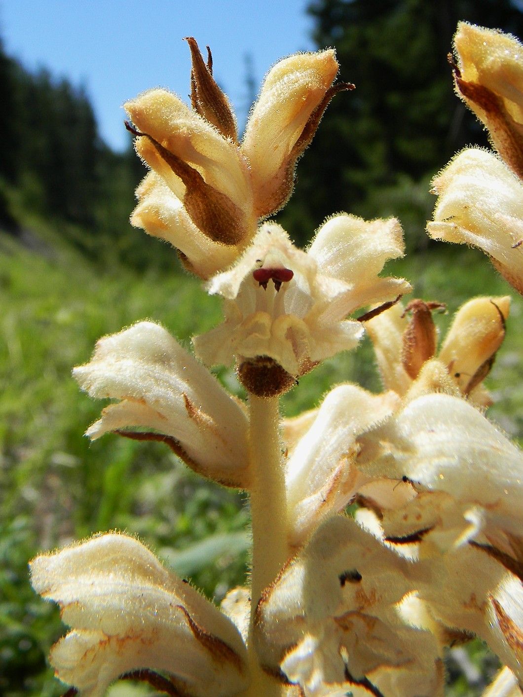 DSCN2138.JPG