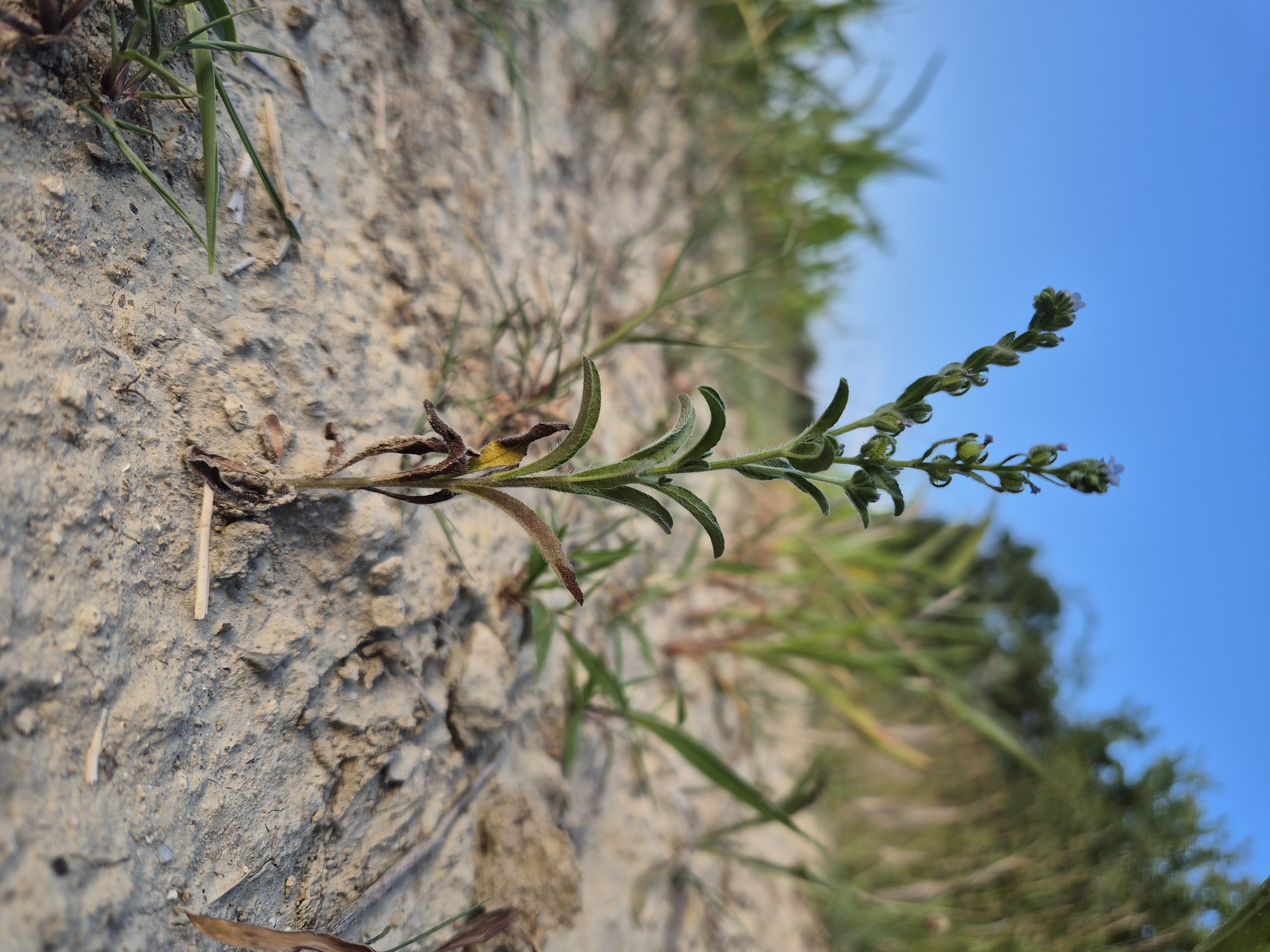 20260630_193801.jpg