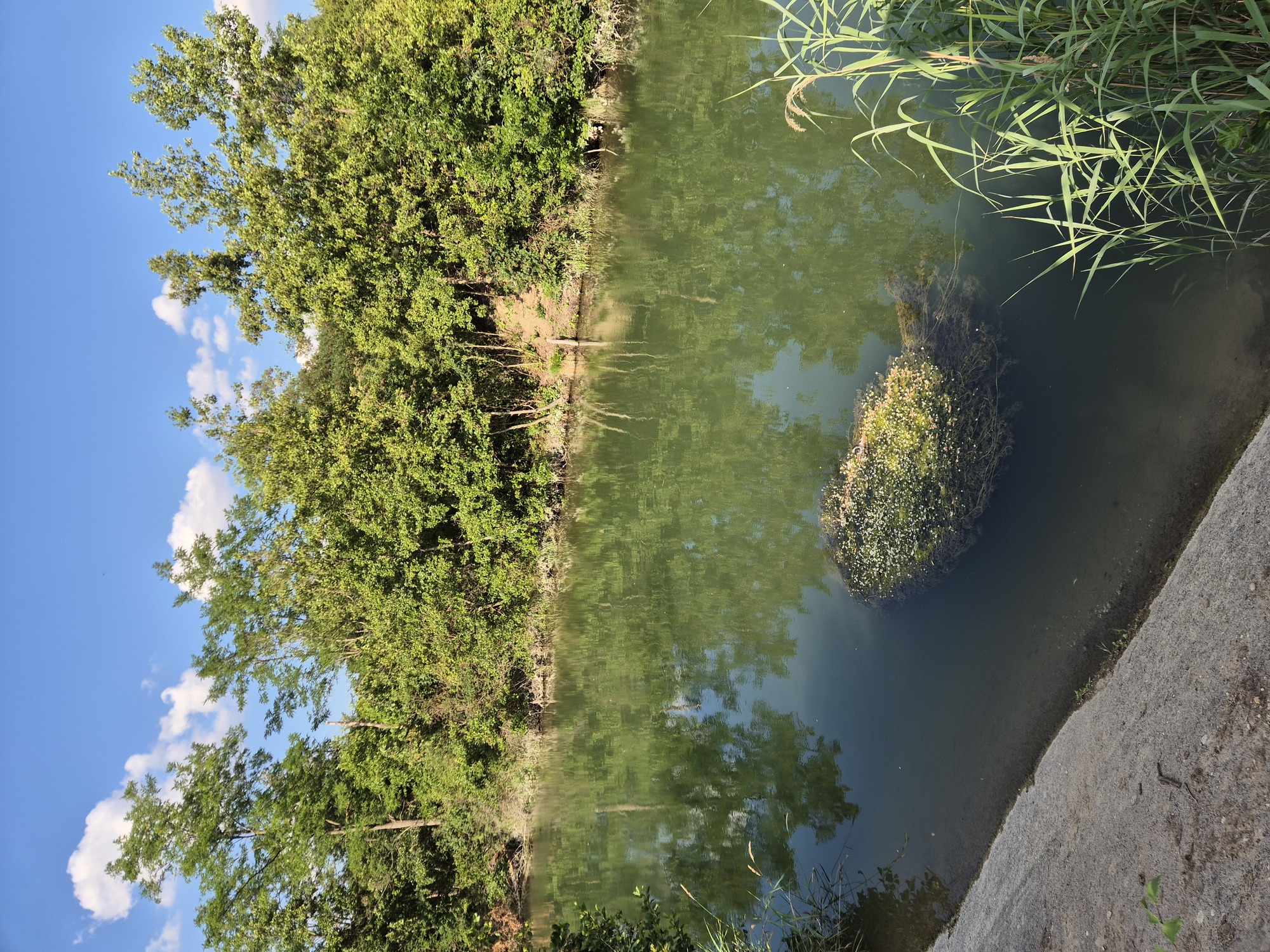 20260702_174954.jpg
